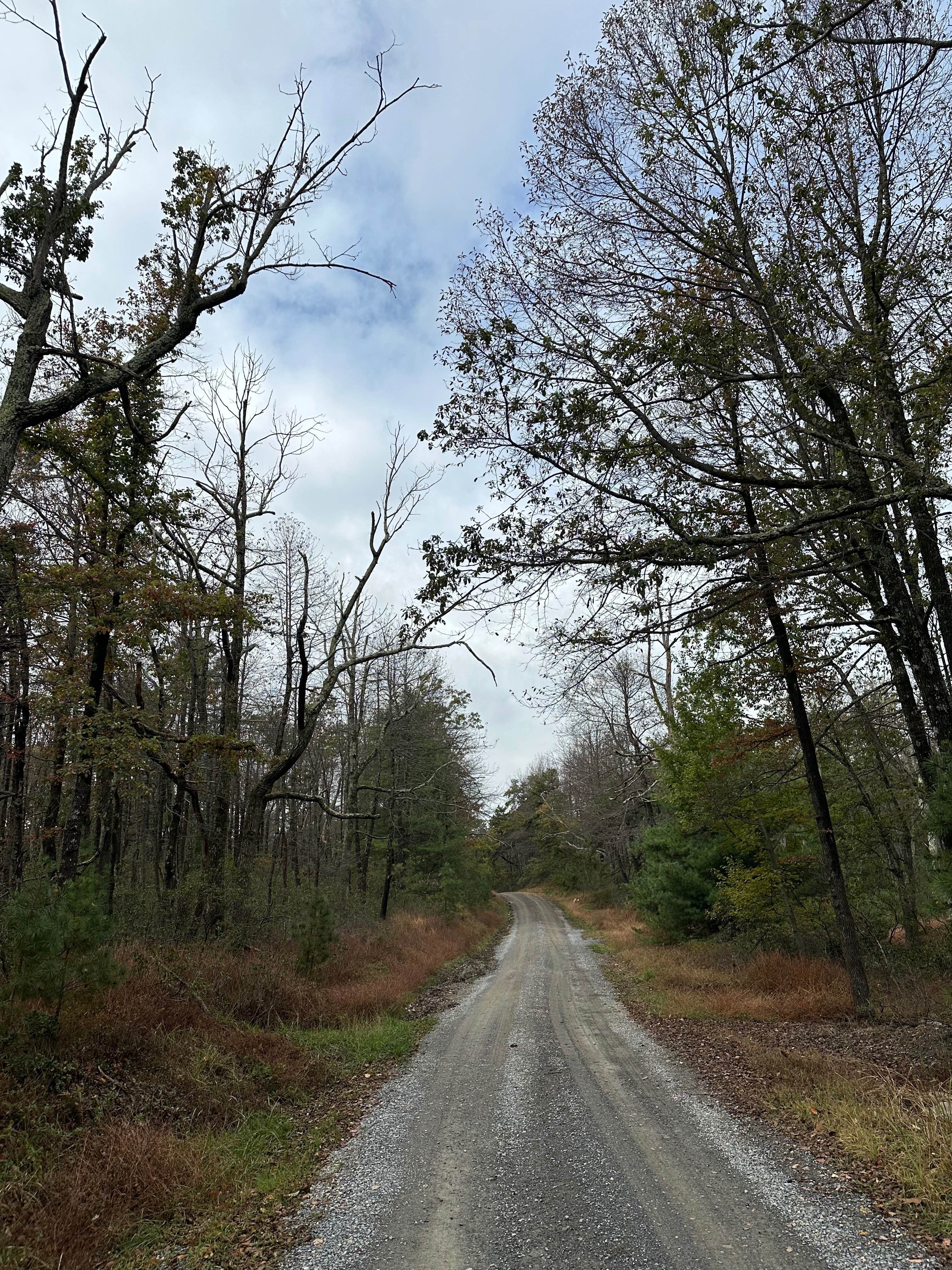 Ridge Road Extension