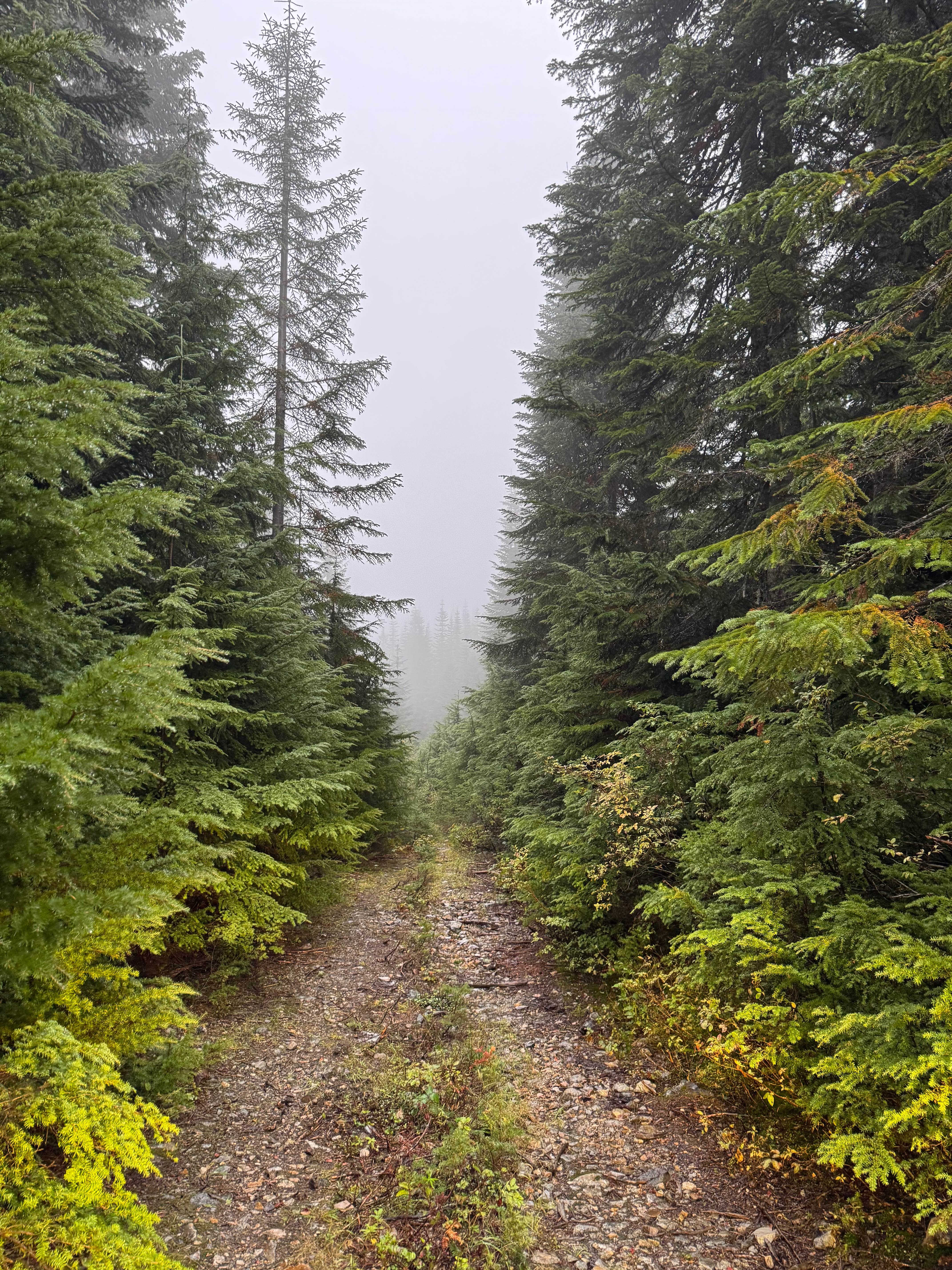 Twin Lake/ Cold Creek Road