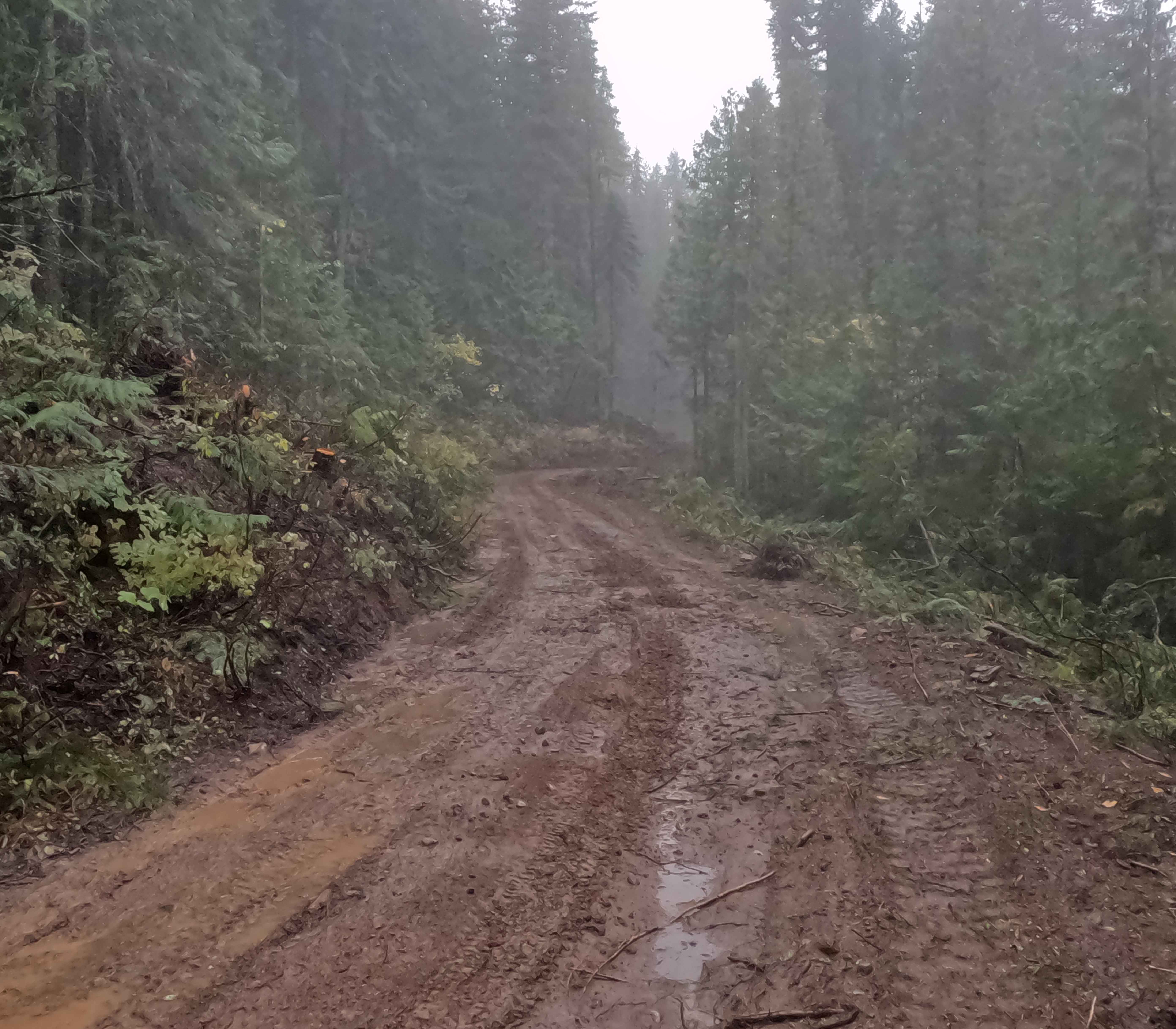 Hill Creek - FS 1976