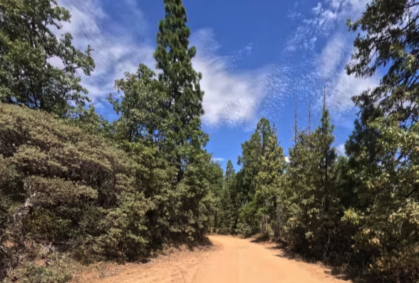 Miami Mountain Road - FS 6S014