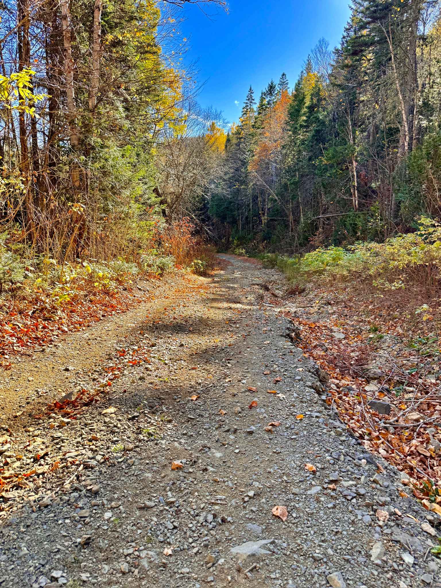 Upper Nine Mile Pool Access