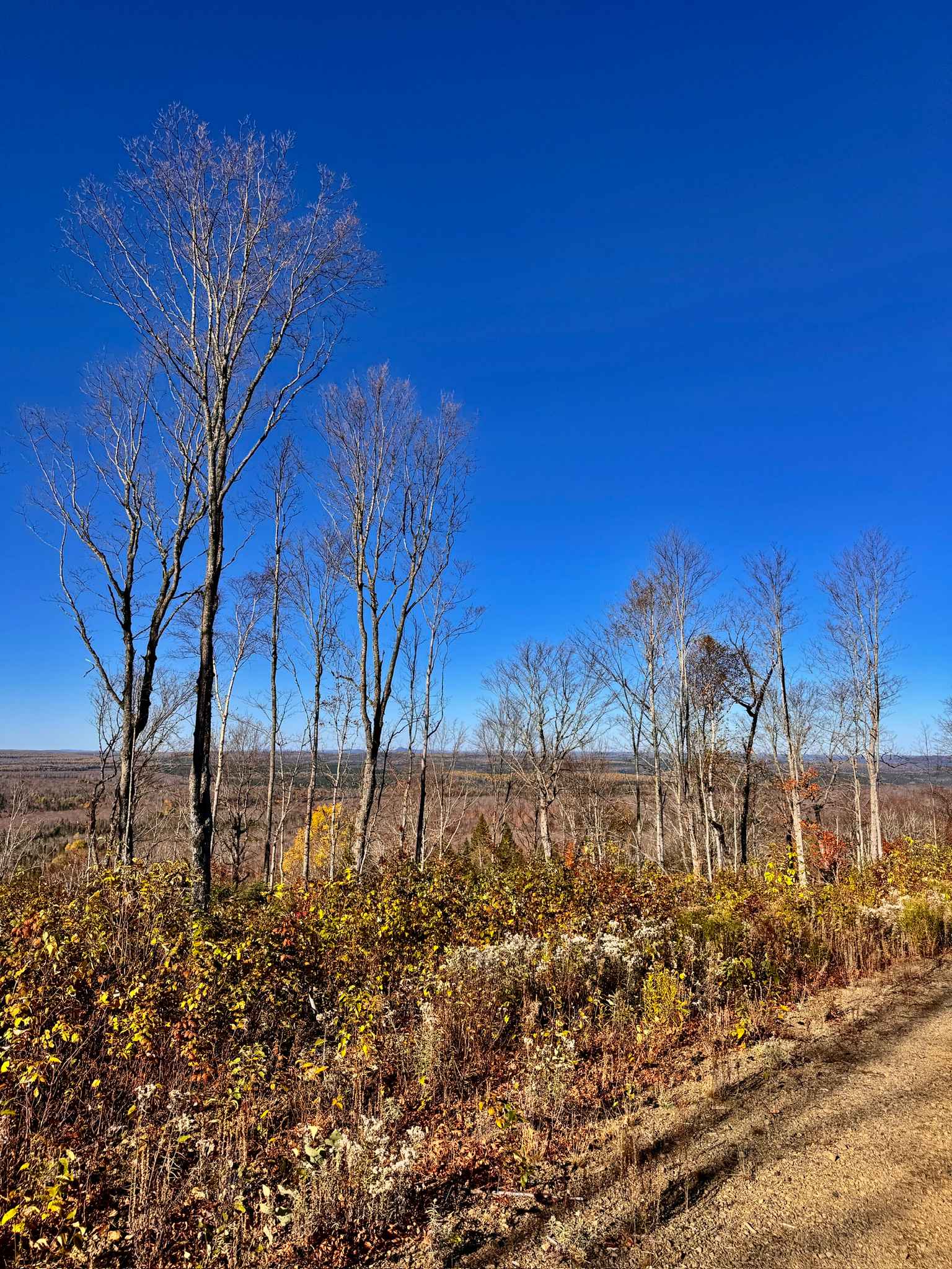 Upsalquitch Ridge Loop
