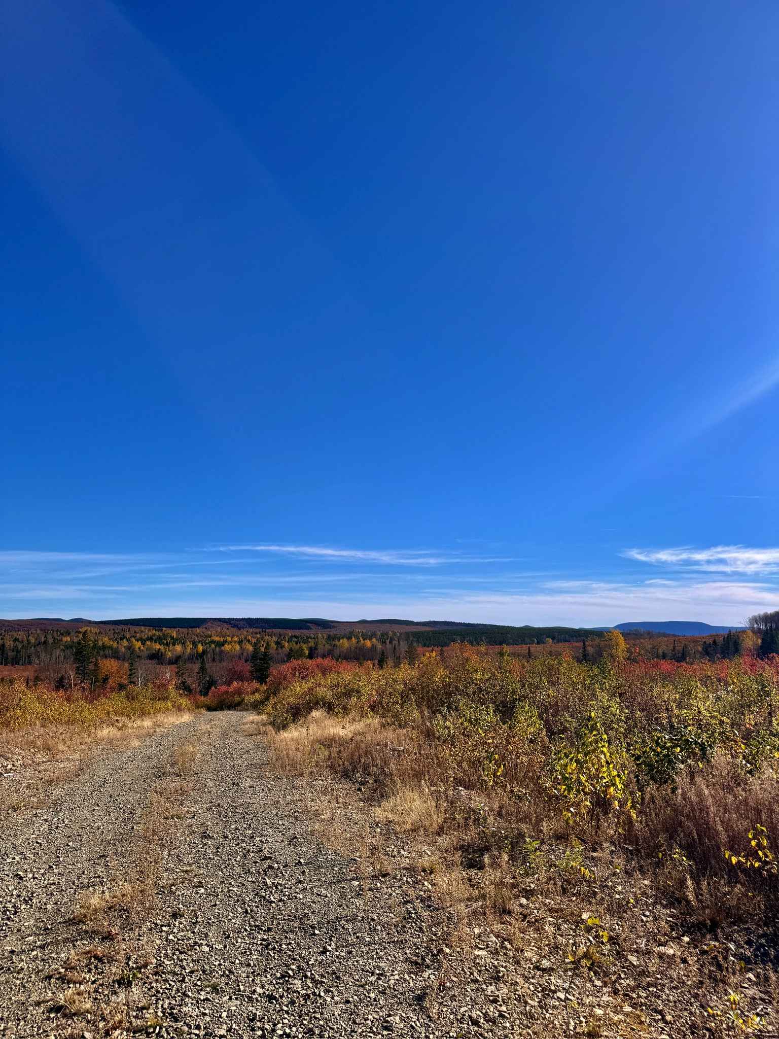 Upsalquitch Ridge Loop