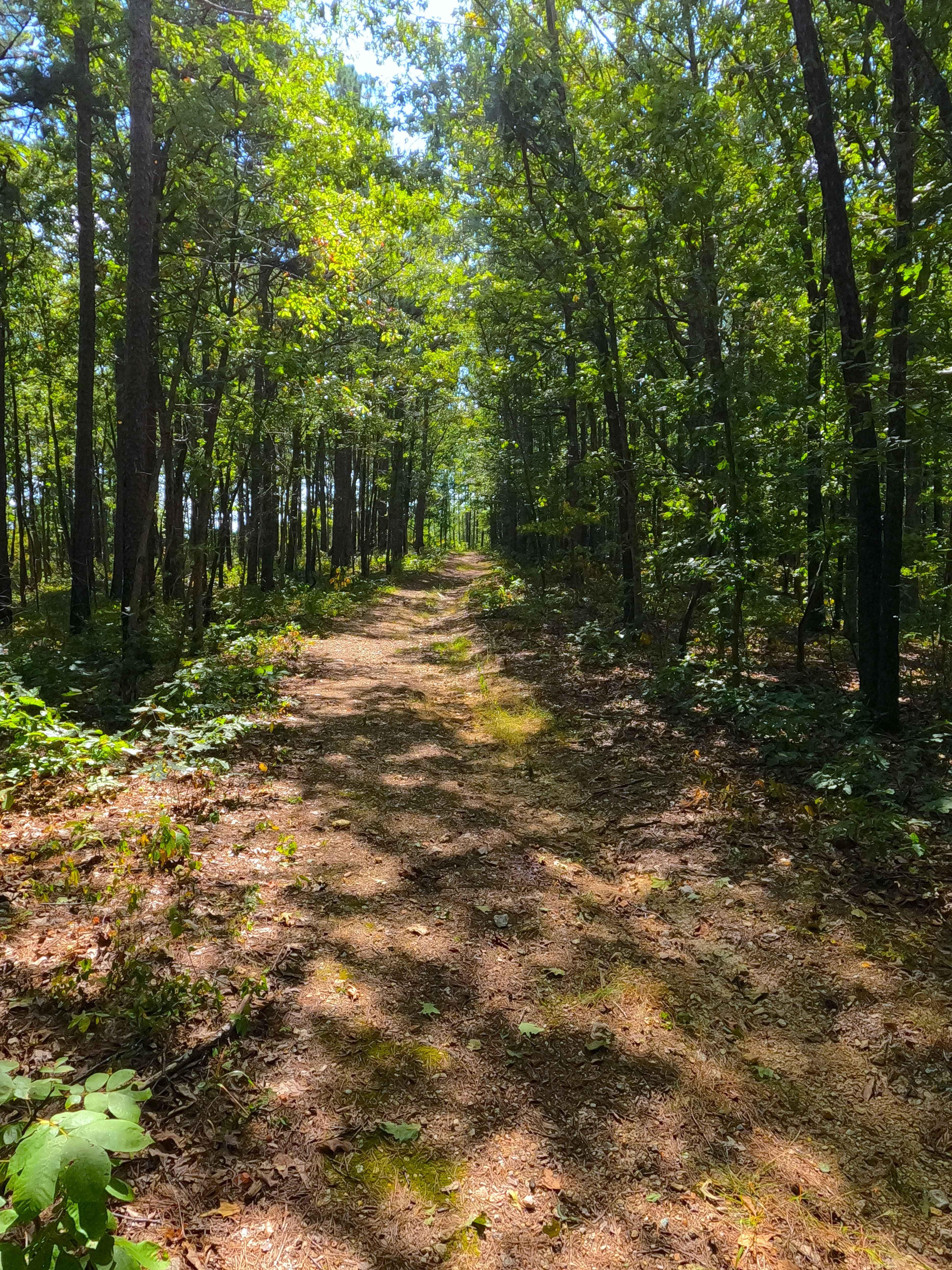 Pleasant Grove Church - FS 2524