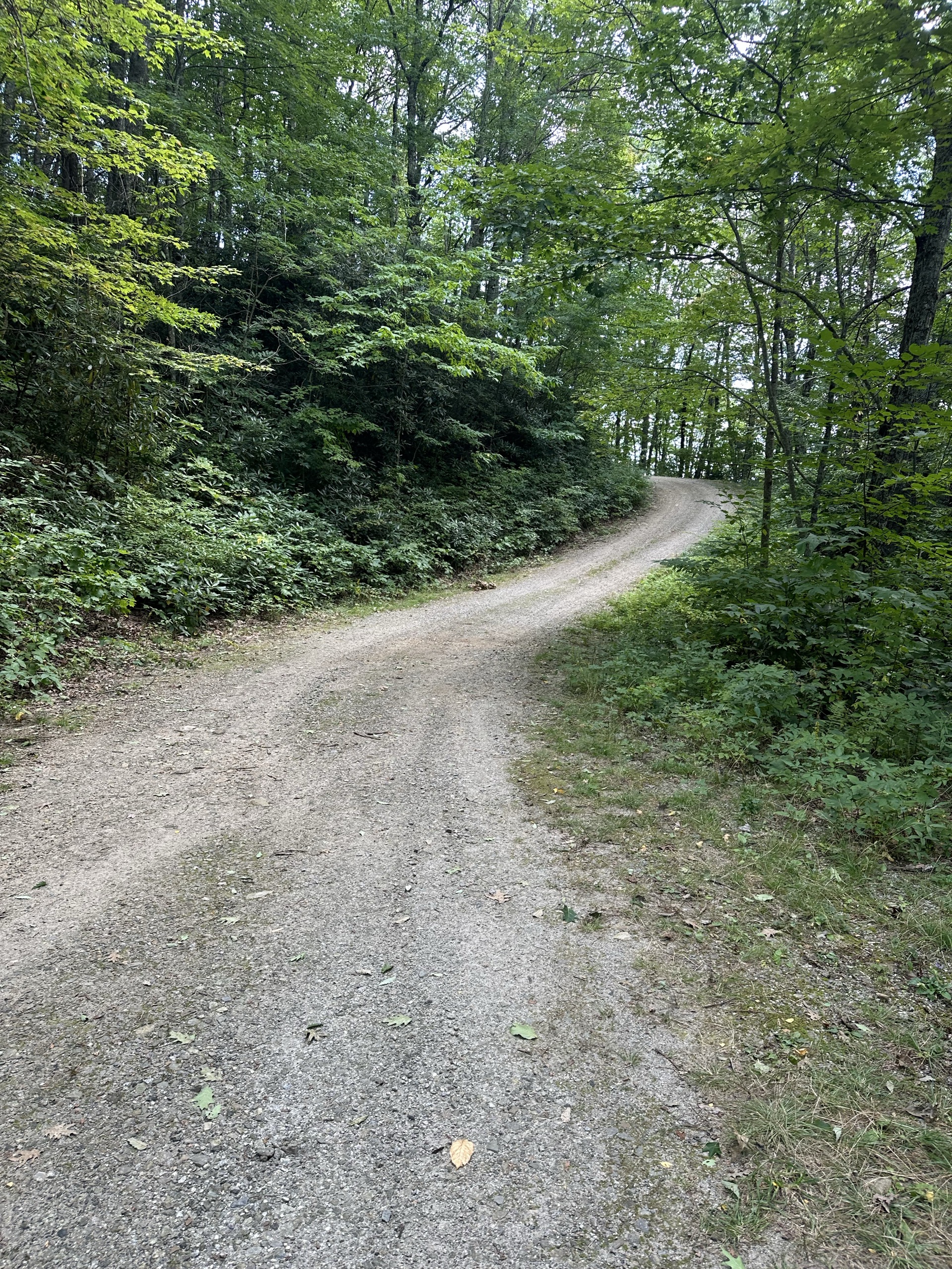 Cold Spring Gap Road