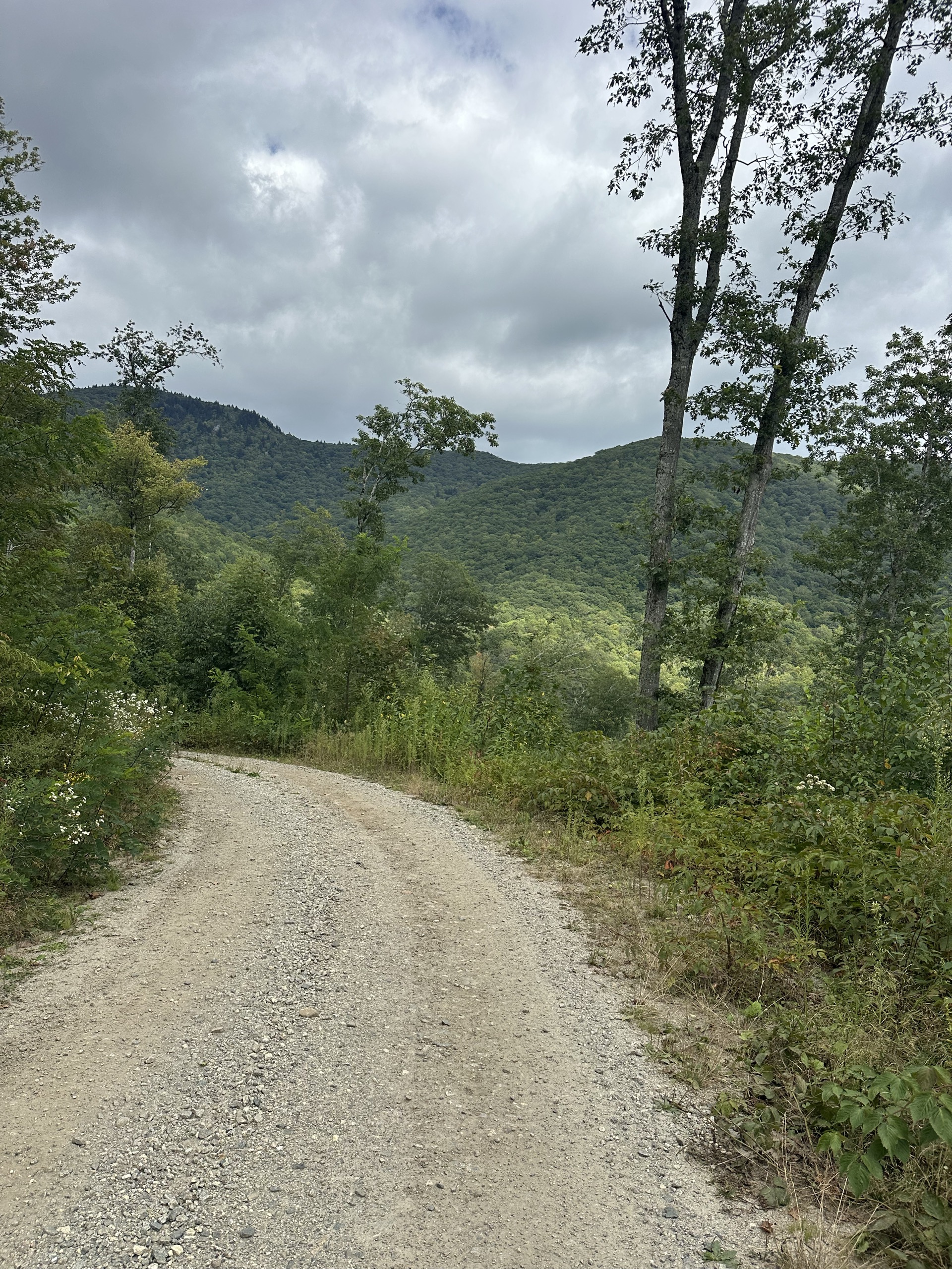 Cold Spring Gap Road