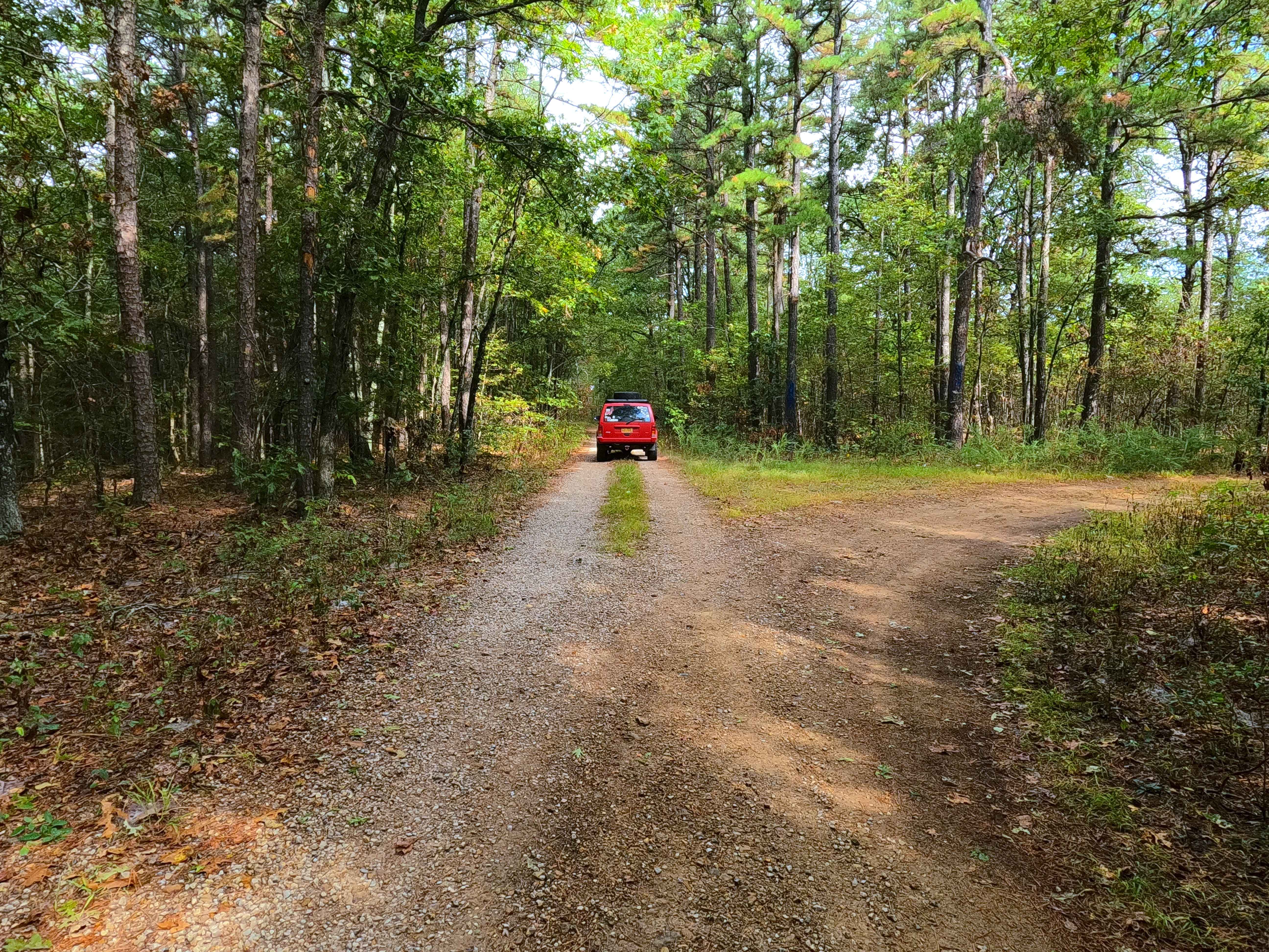 Coon Hollow - FS 2482