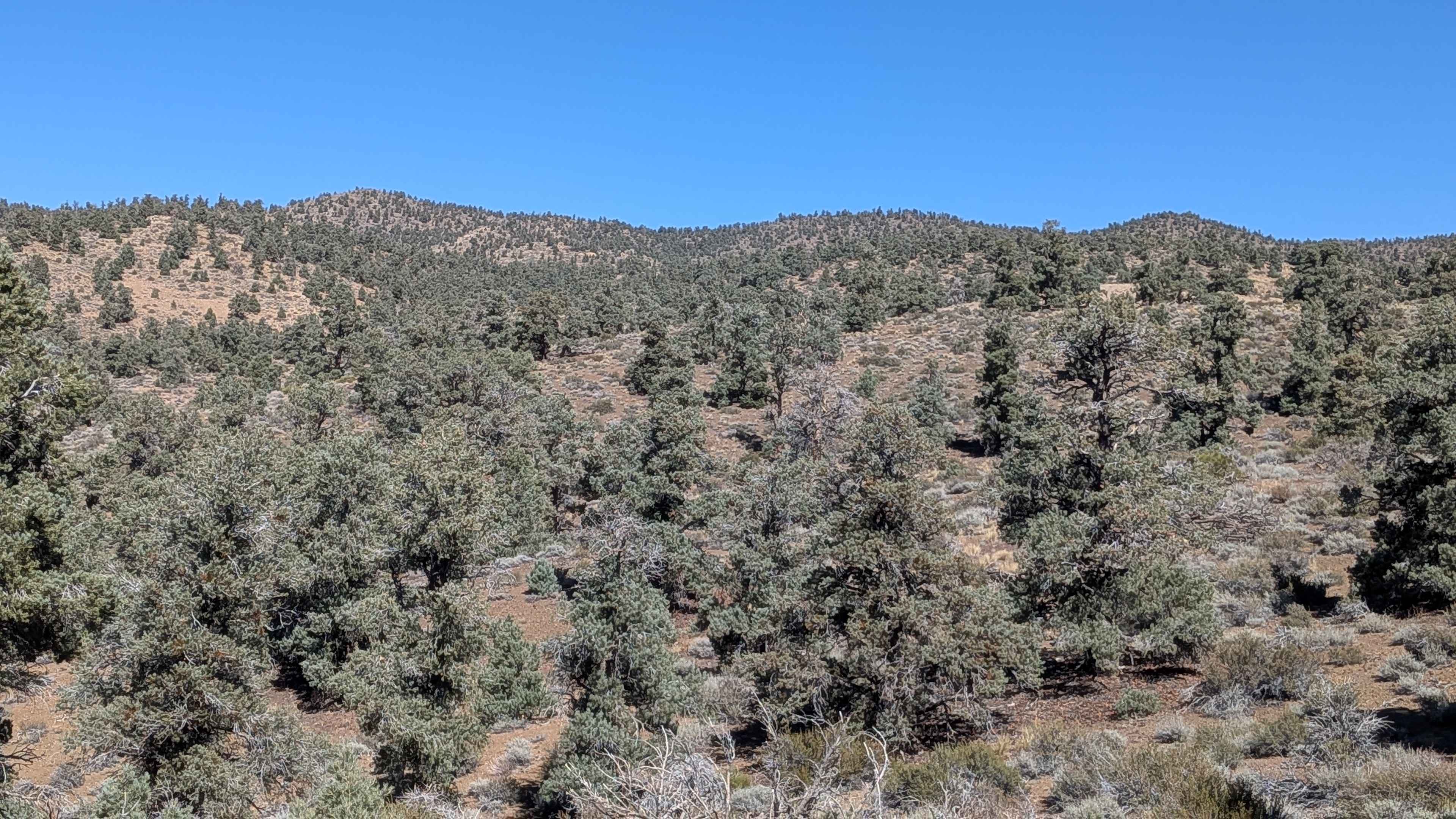 Gold Crown Mine - FS3S50