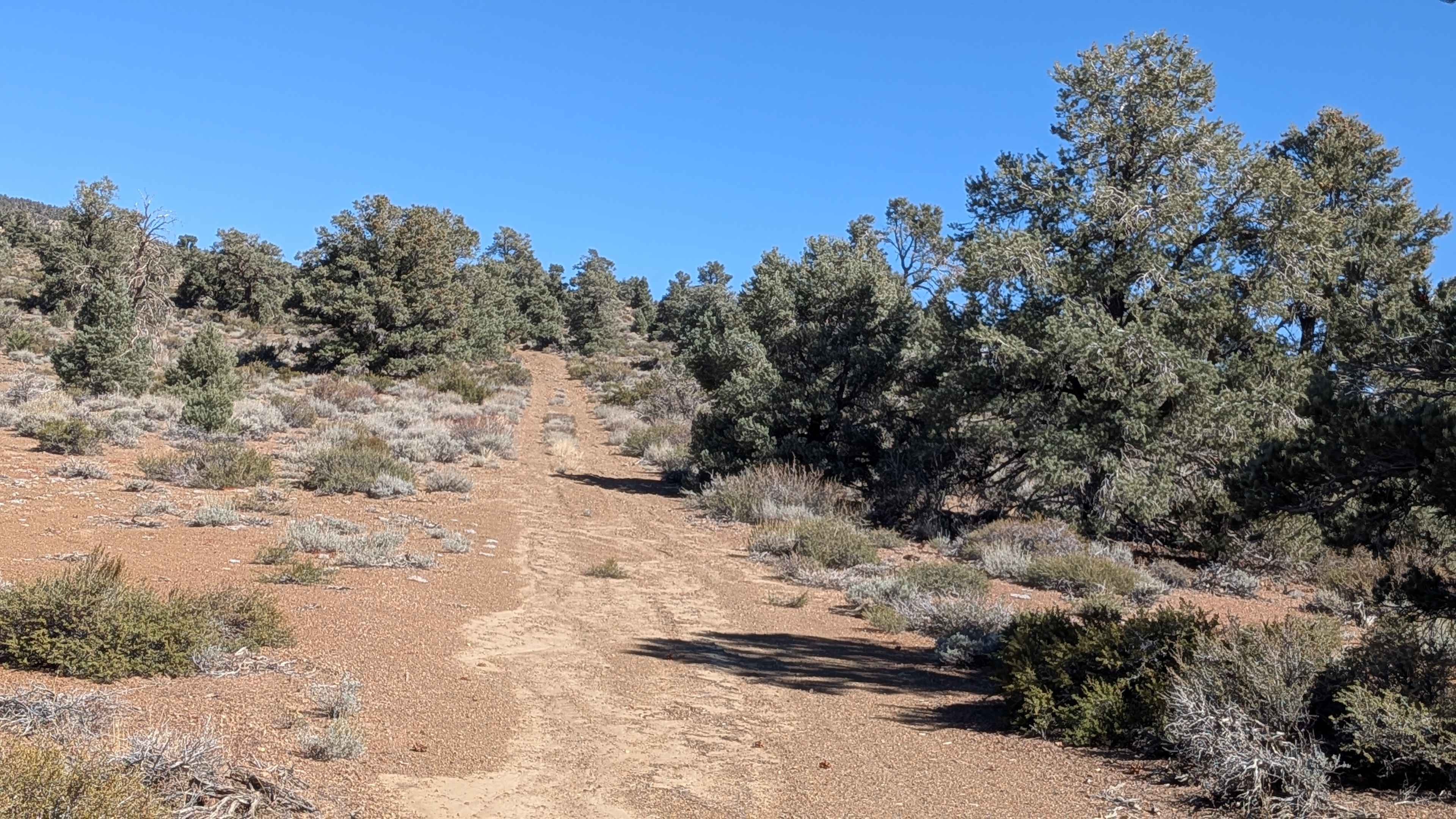 Gold Crown Mine - FS3S50