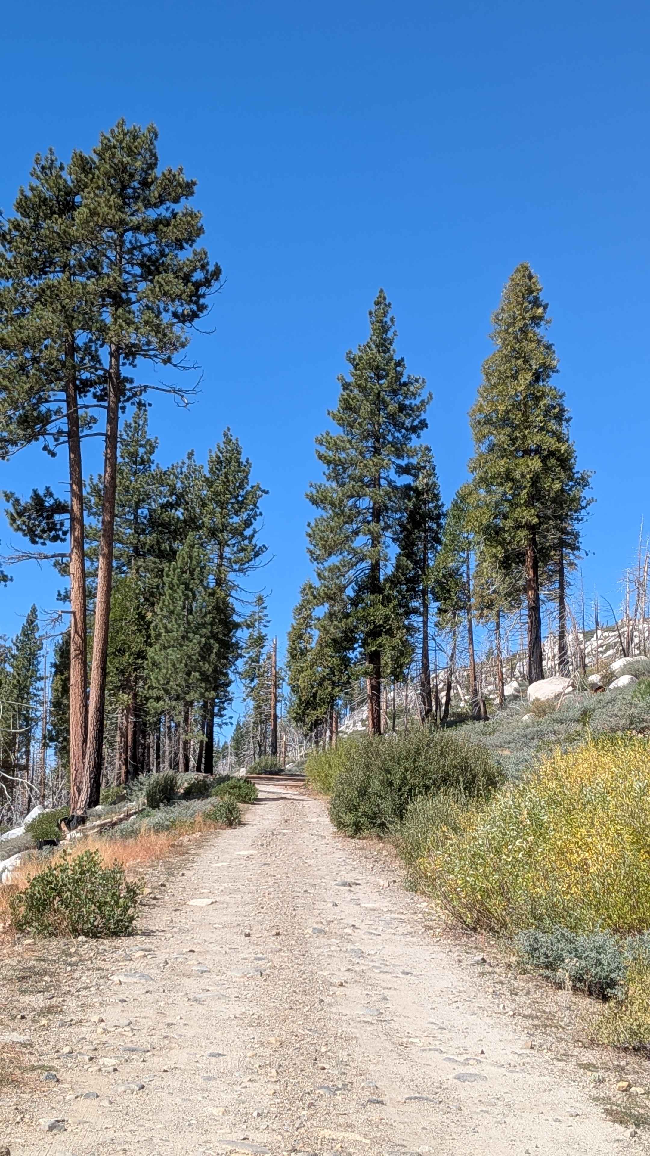 Fence Creek Road - FS 6N06