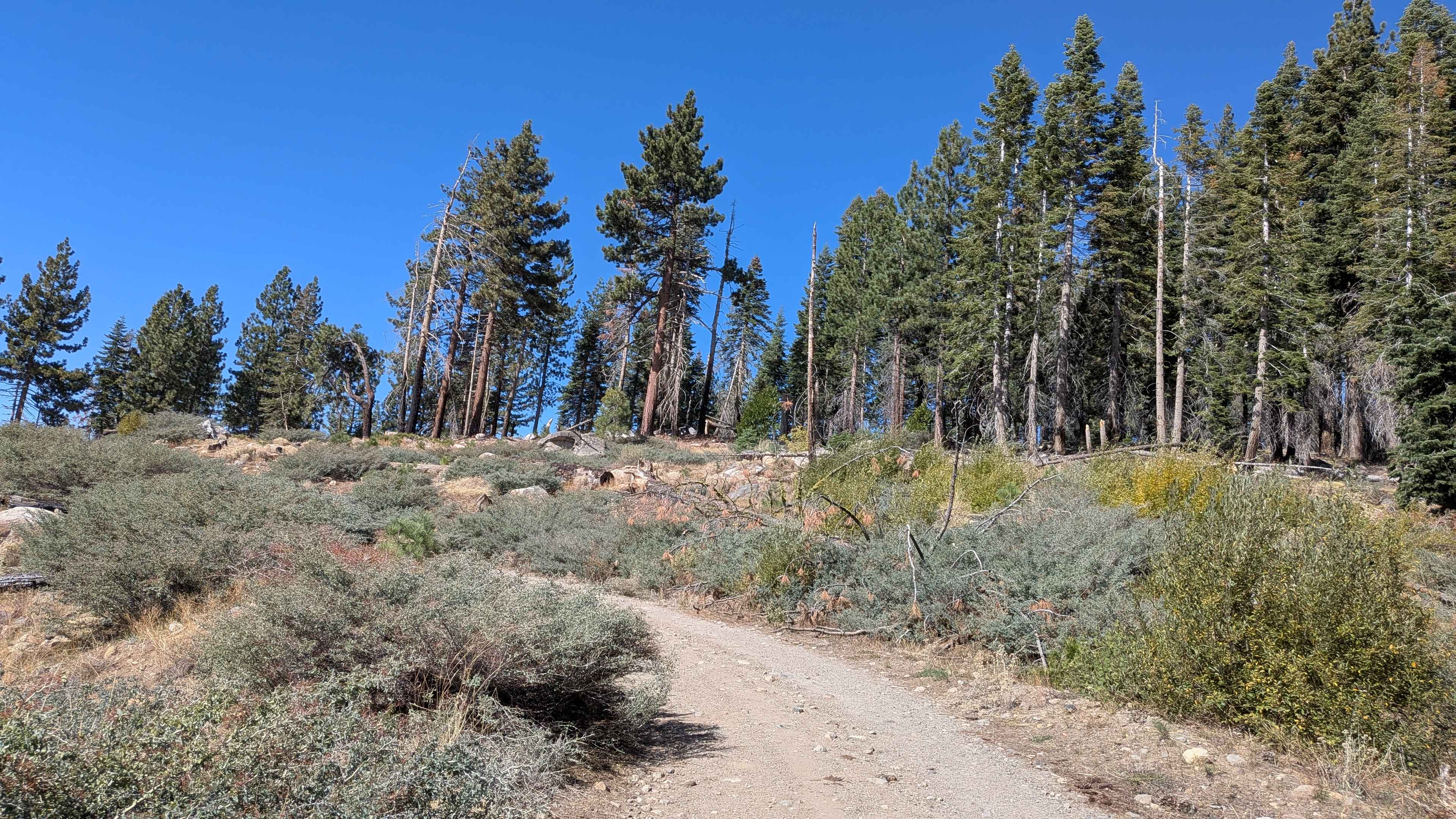 Fence Creek Road - FS 6N06