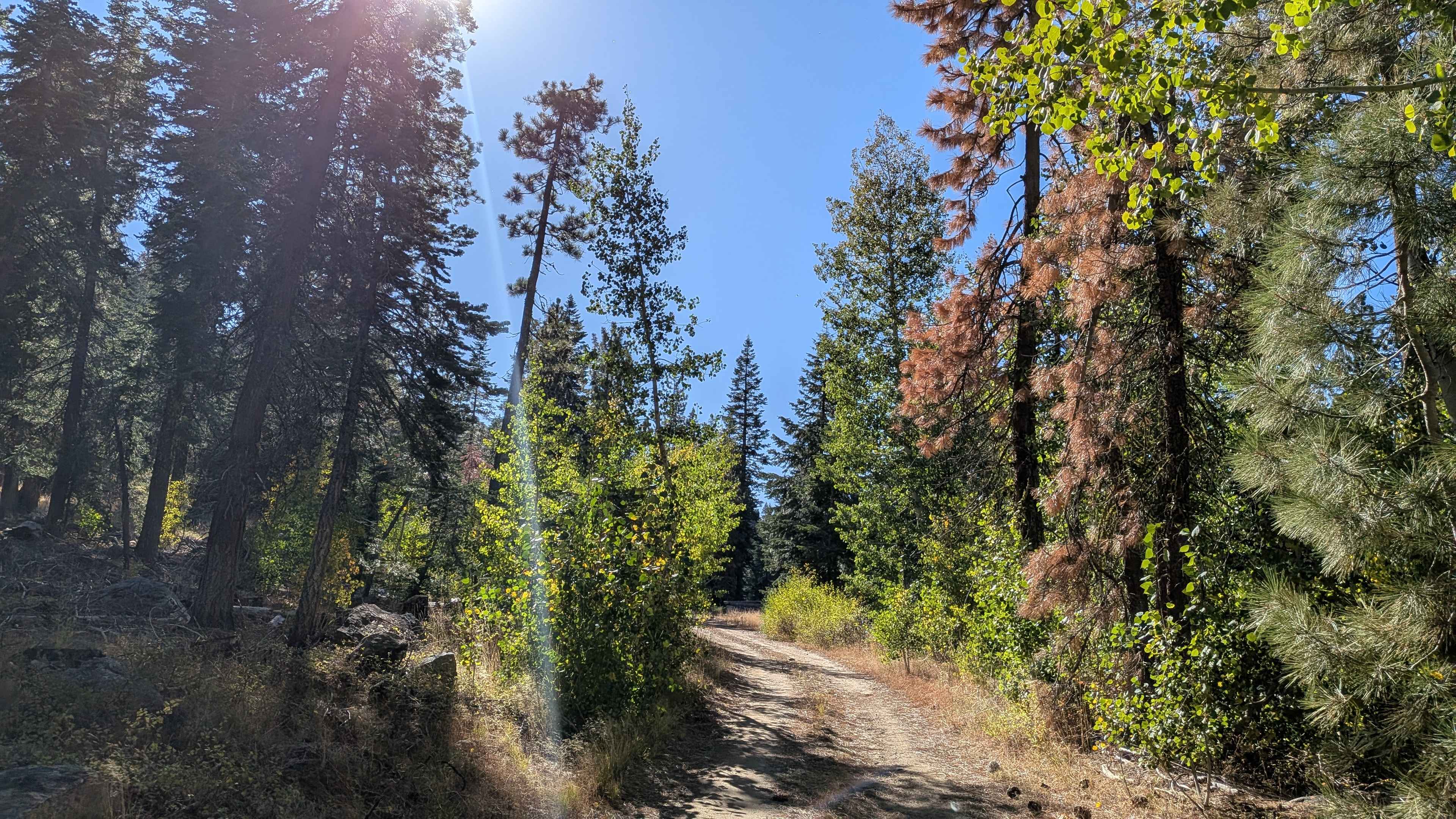 Mill Creek Road - FS5N21