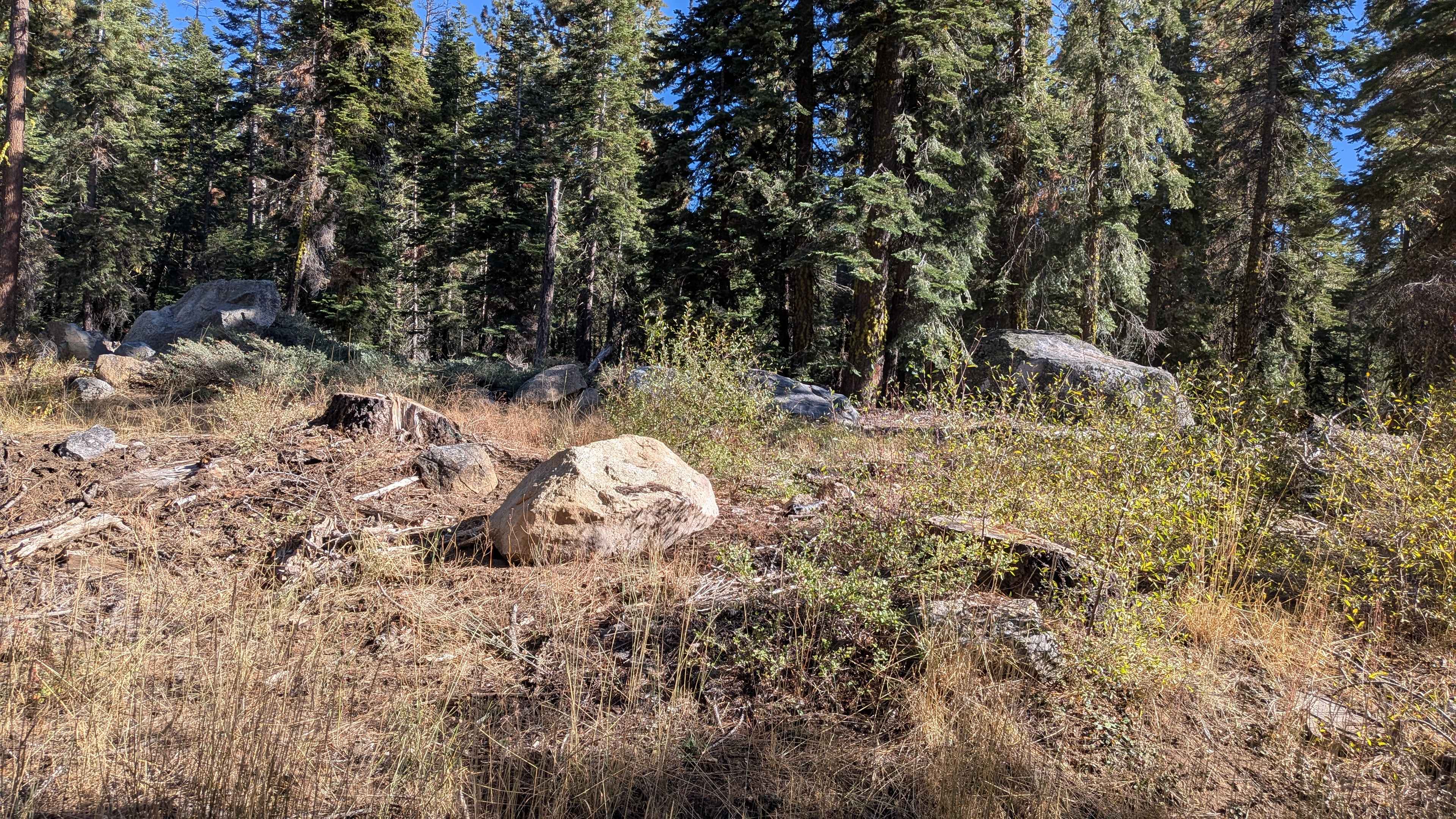 Mill Creek Road - FS5N21