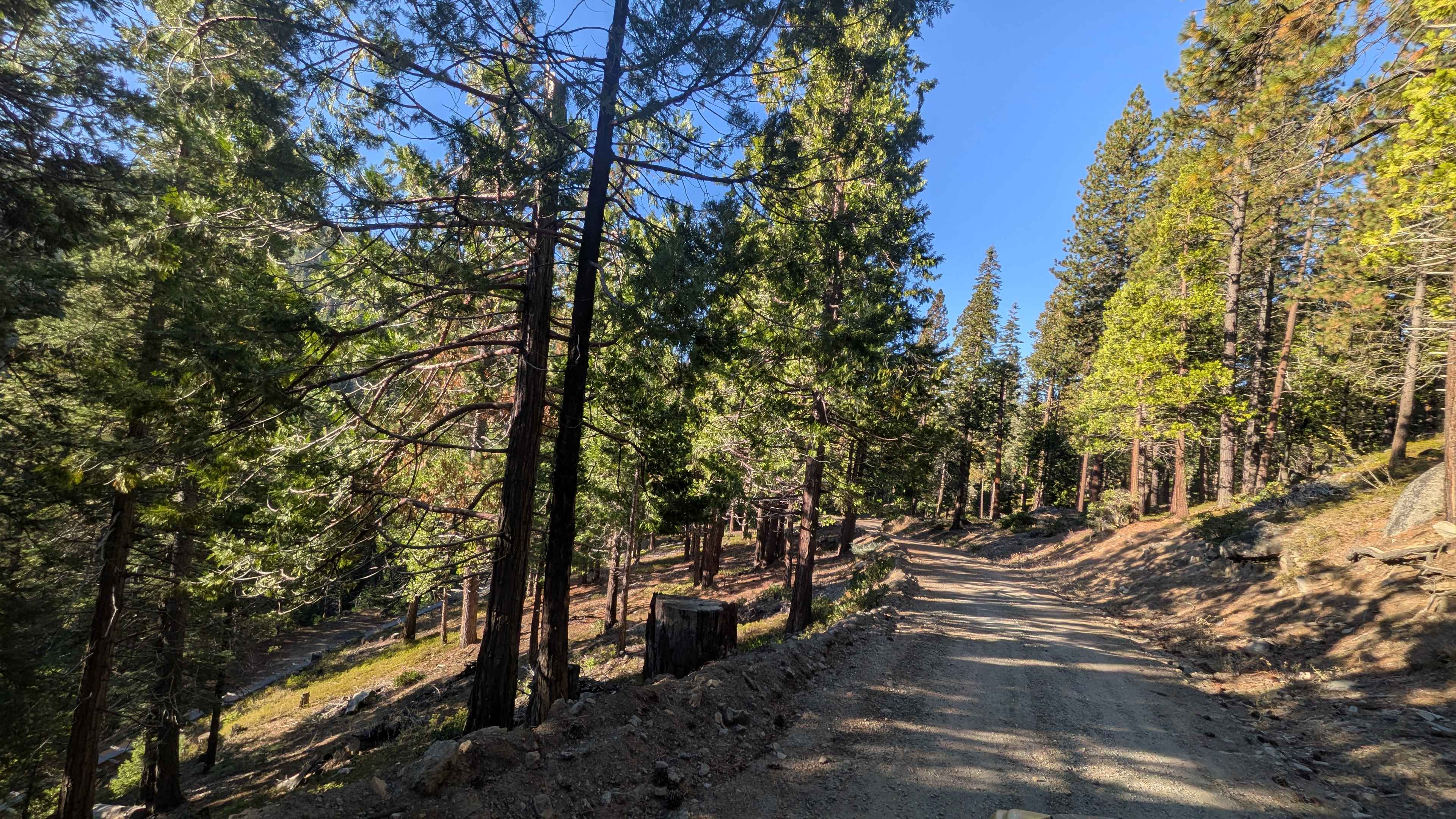 Fraser Flat Road - FS 4N13