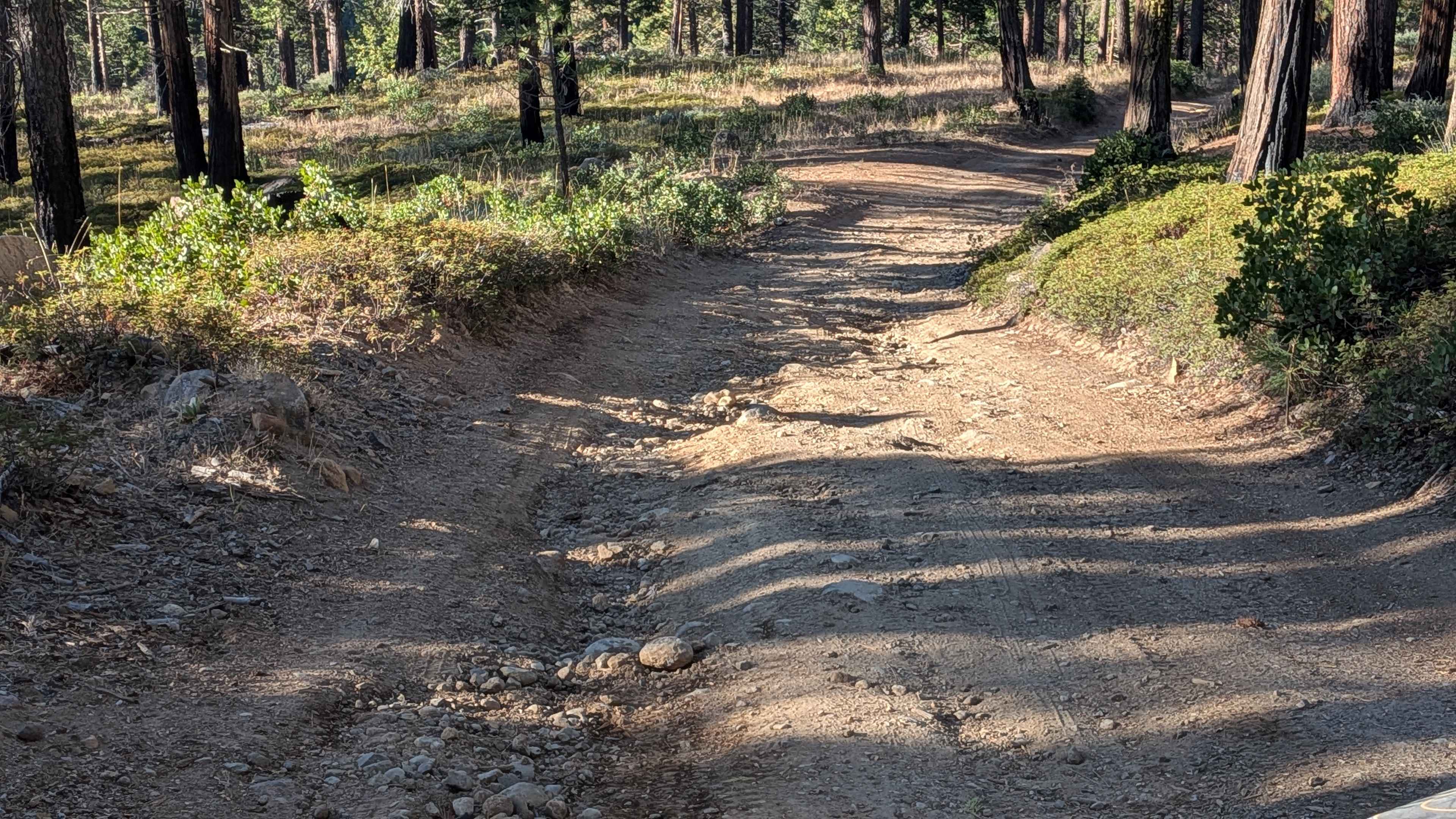 Fraser Flat Road - FS 4N13