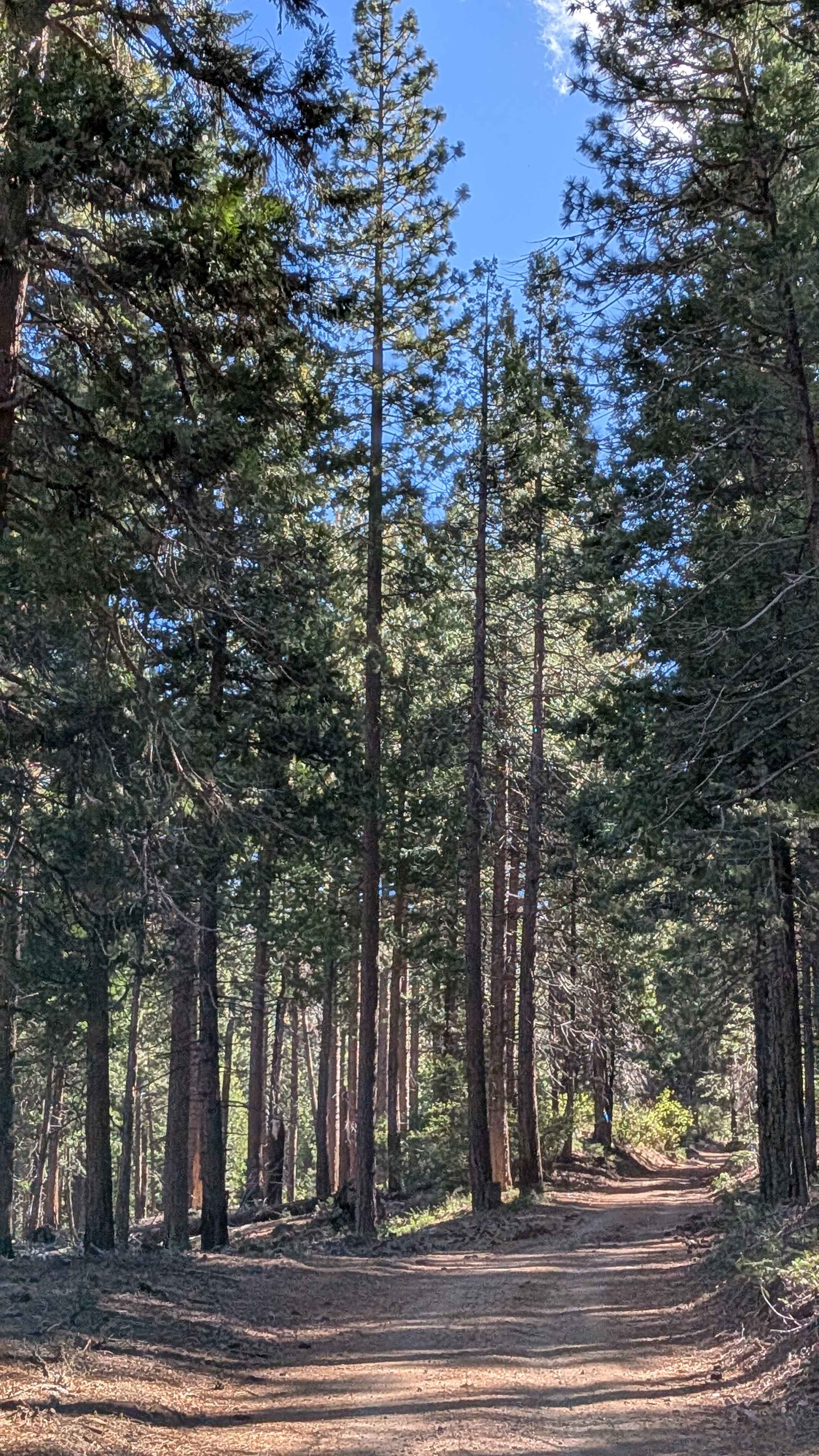 Spring Gap Road - FS 4N14