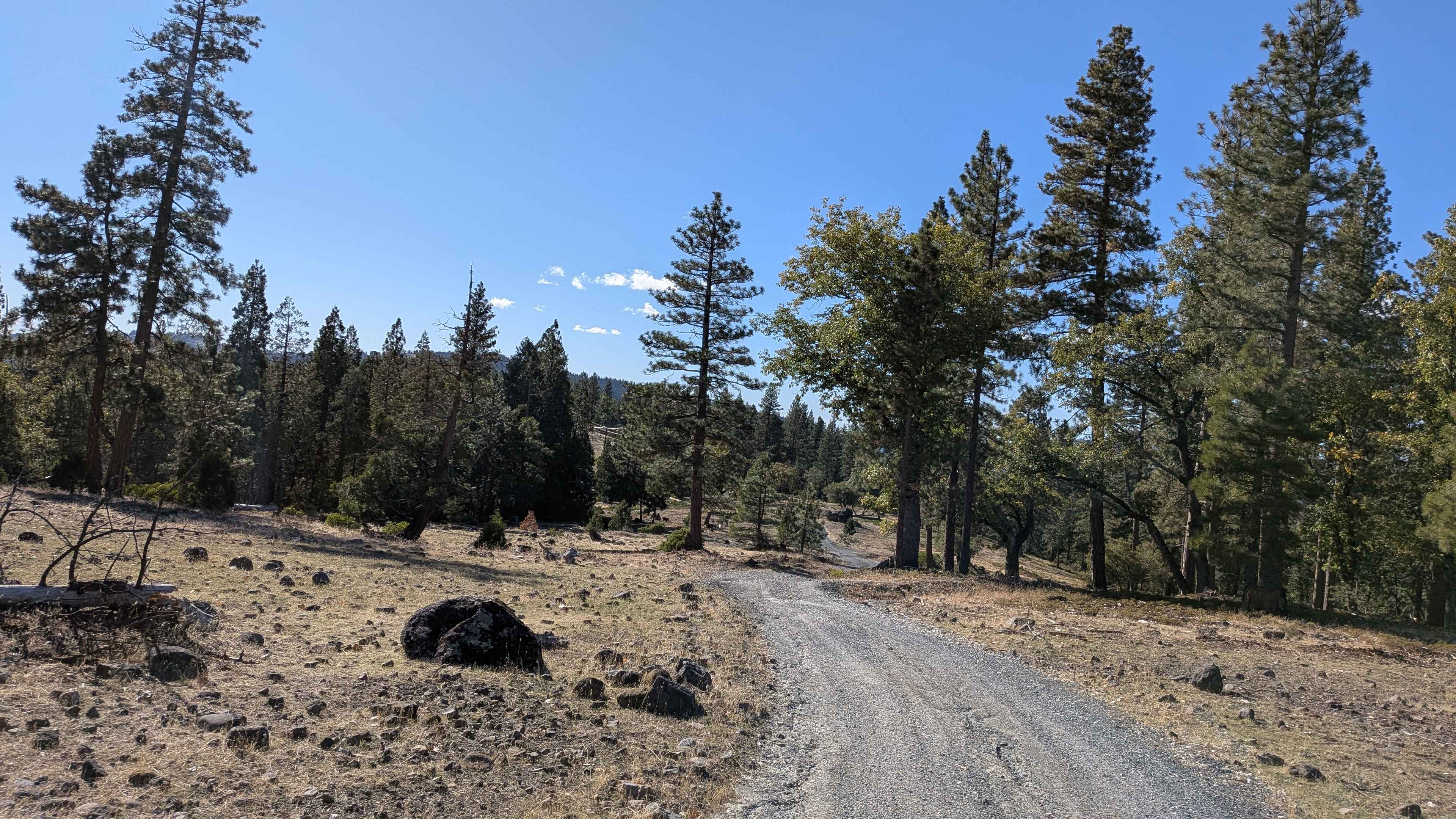 Strawberry Peak - FS 4N39