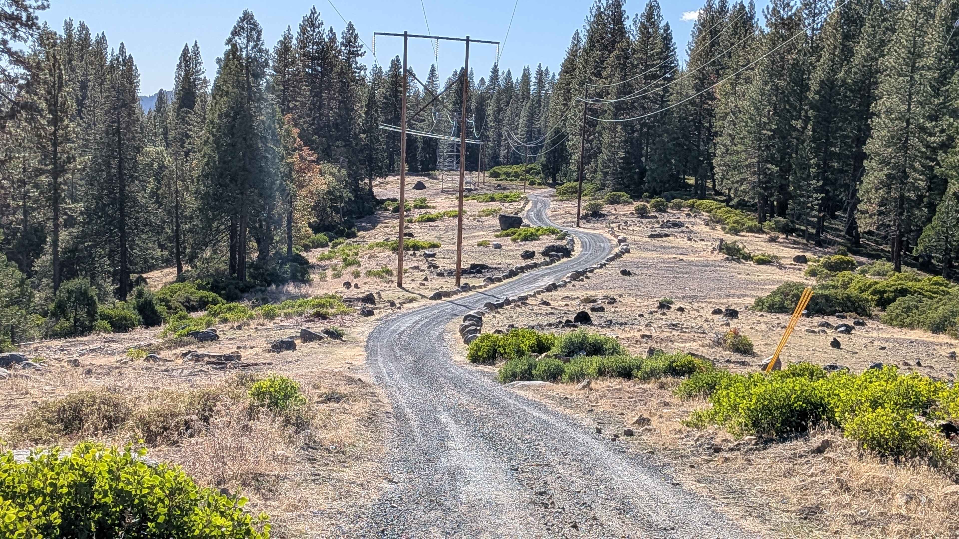 Strawberry Peak - FS 4N39