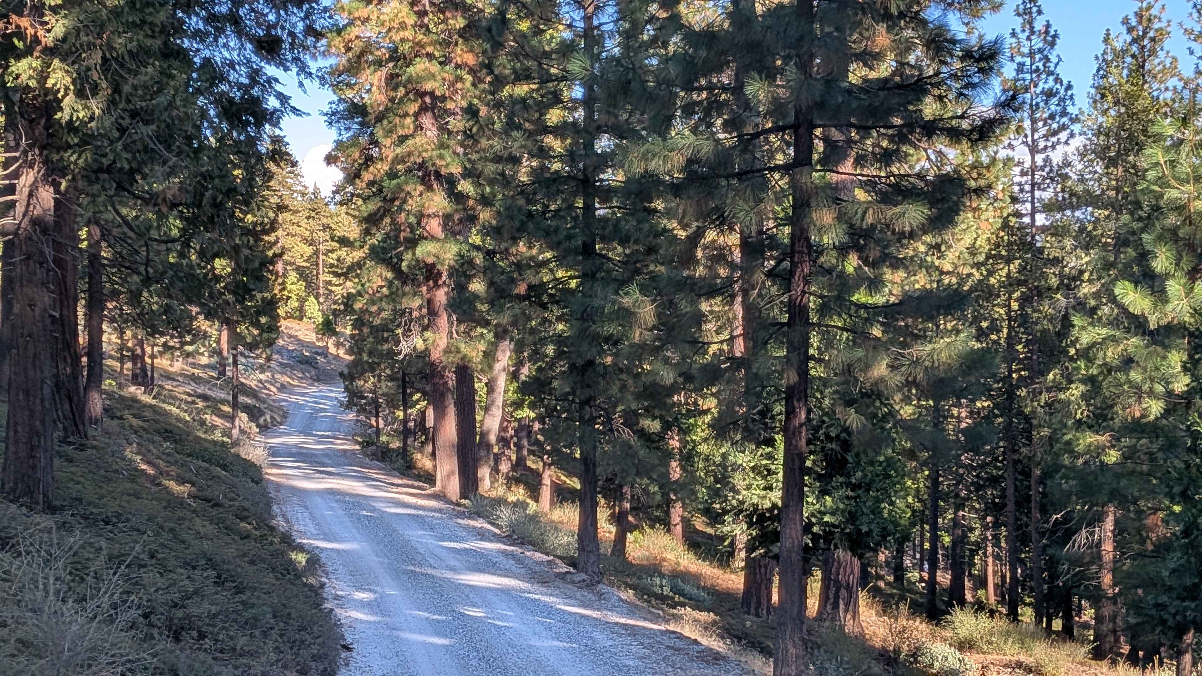 Fraser Flat Road East - FS 4N01