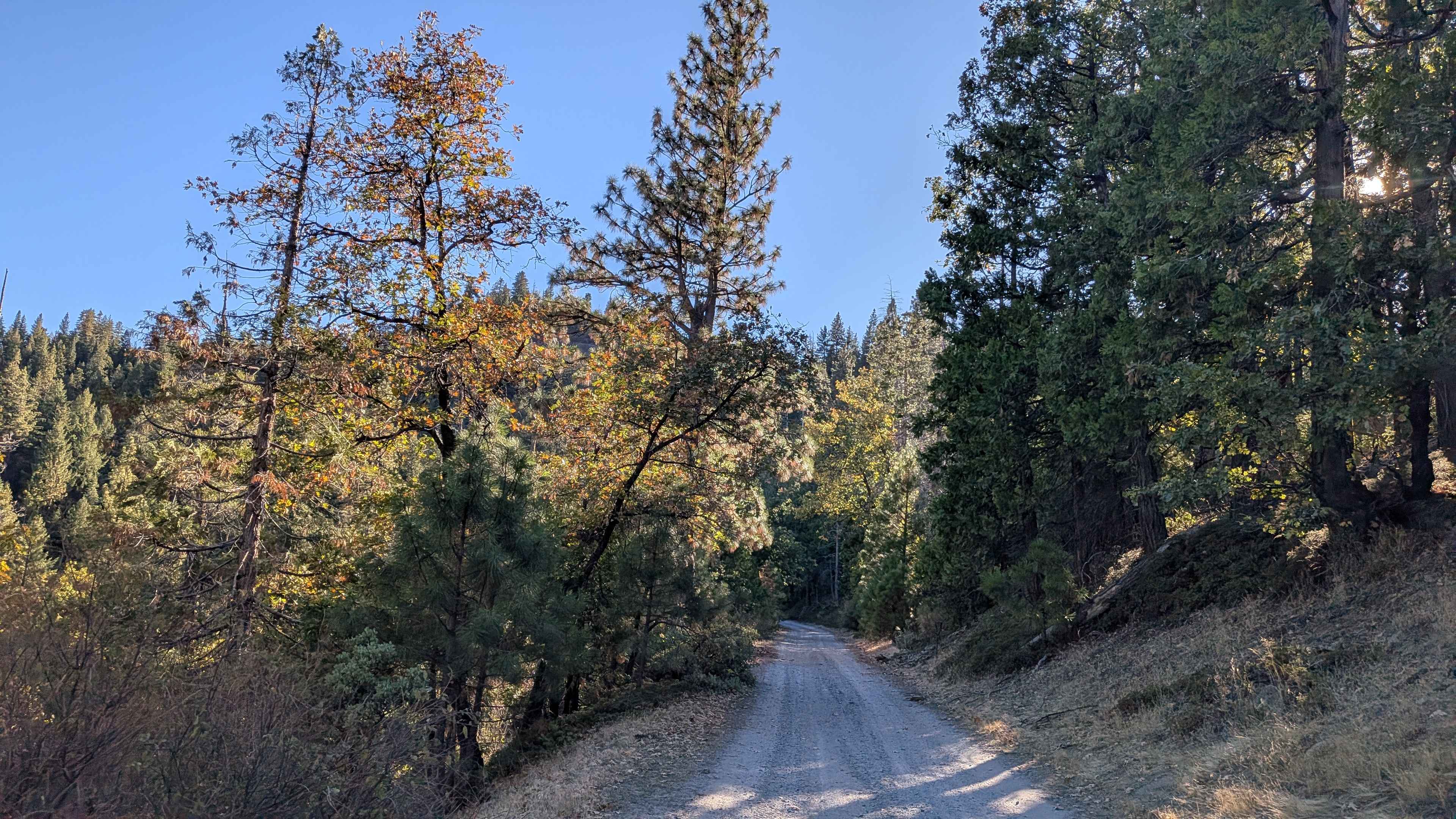 Fraser Flat Road East - FS 4N01