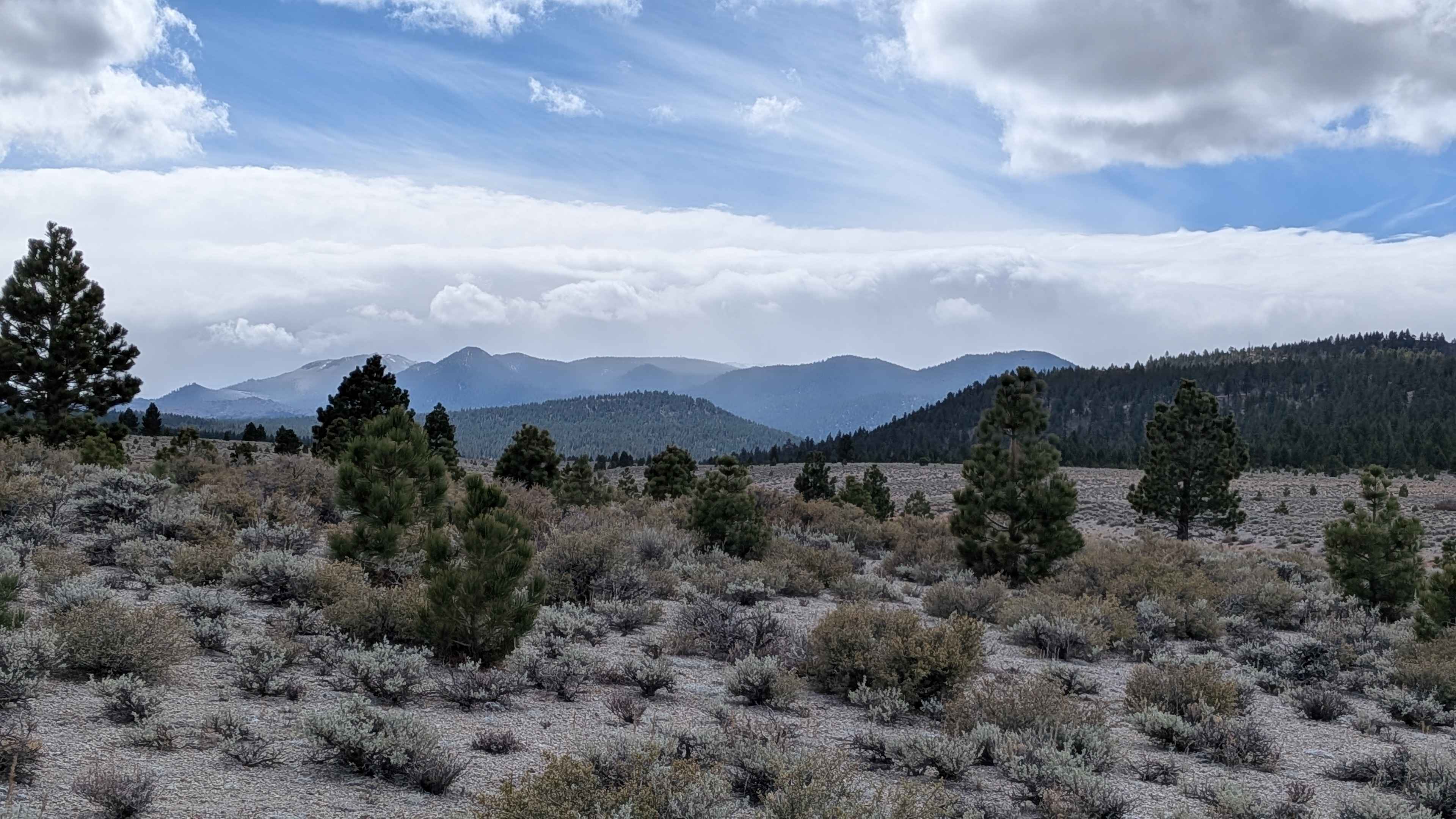 Mono Craters East - FS 1N24