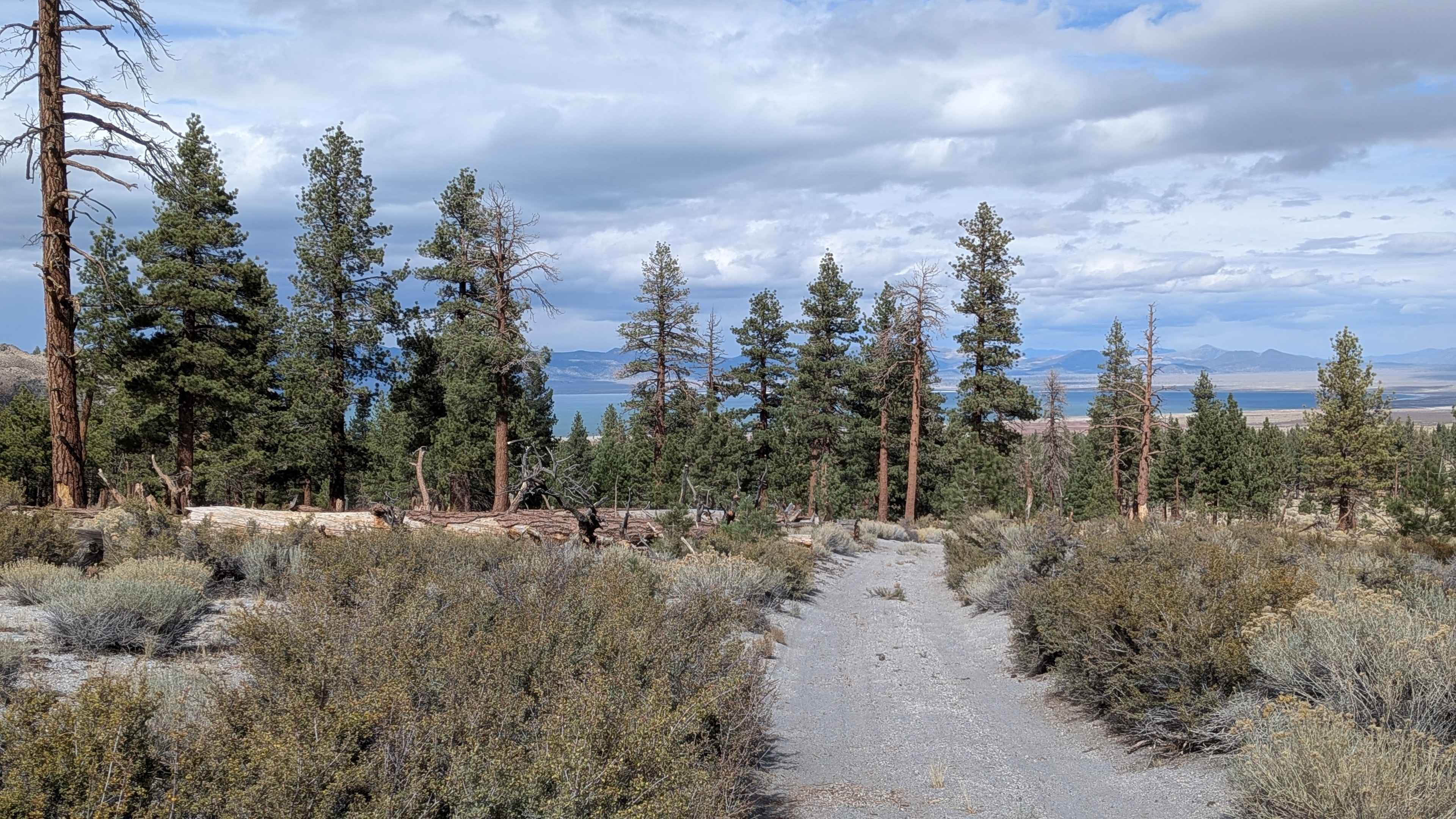 Mono Craters East - FS 1N24