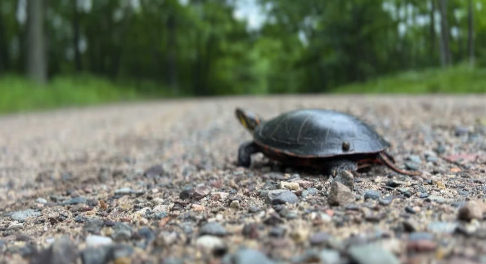 Harrison Hills ATV West Branch