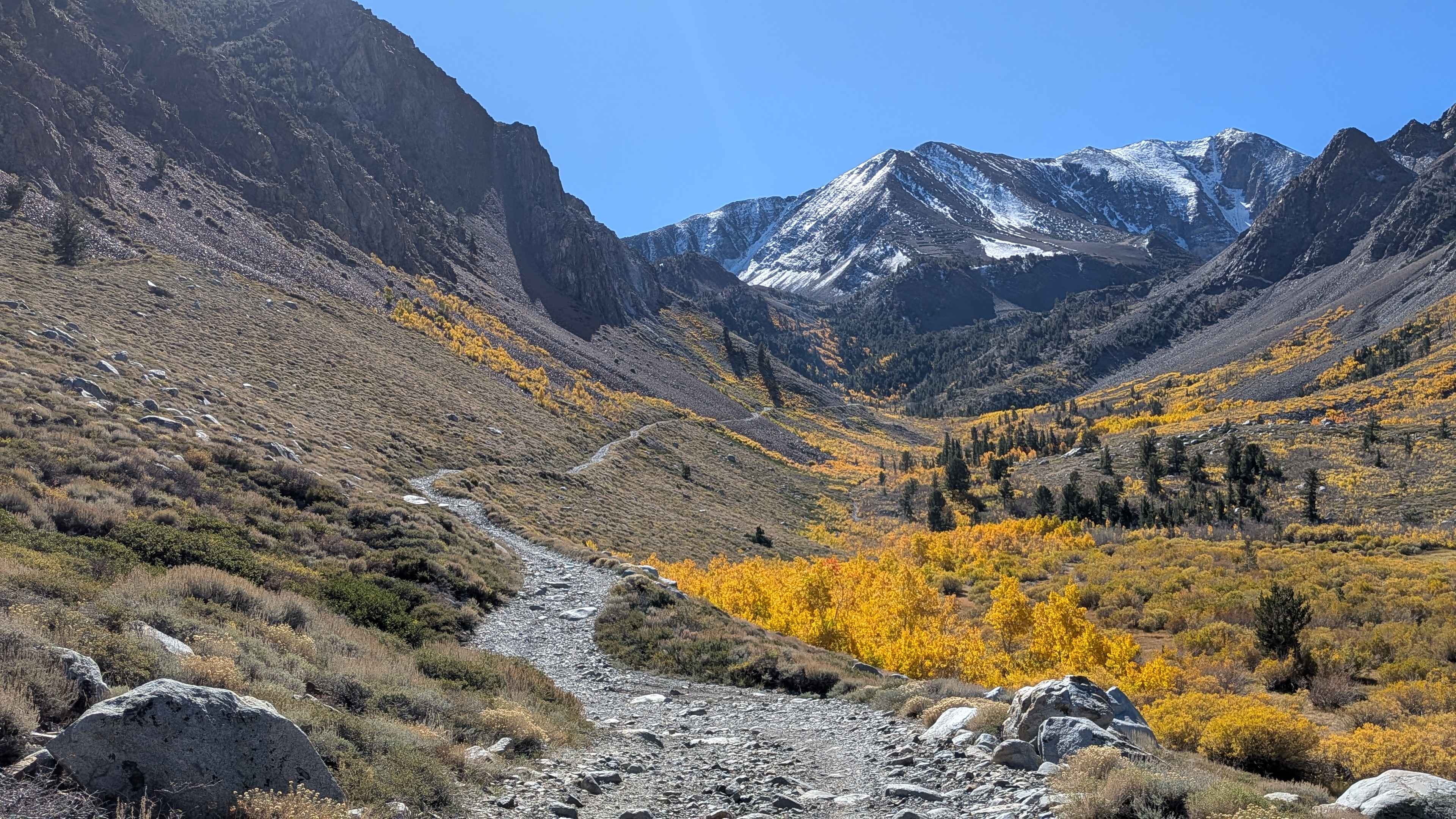 Laurel Lakes - FS 28E201