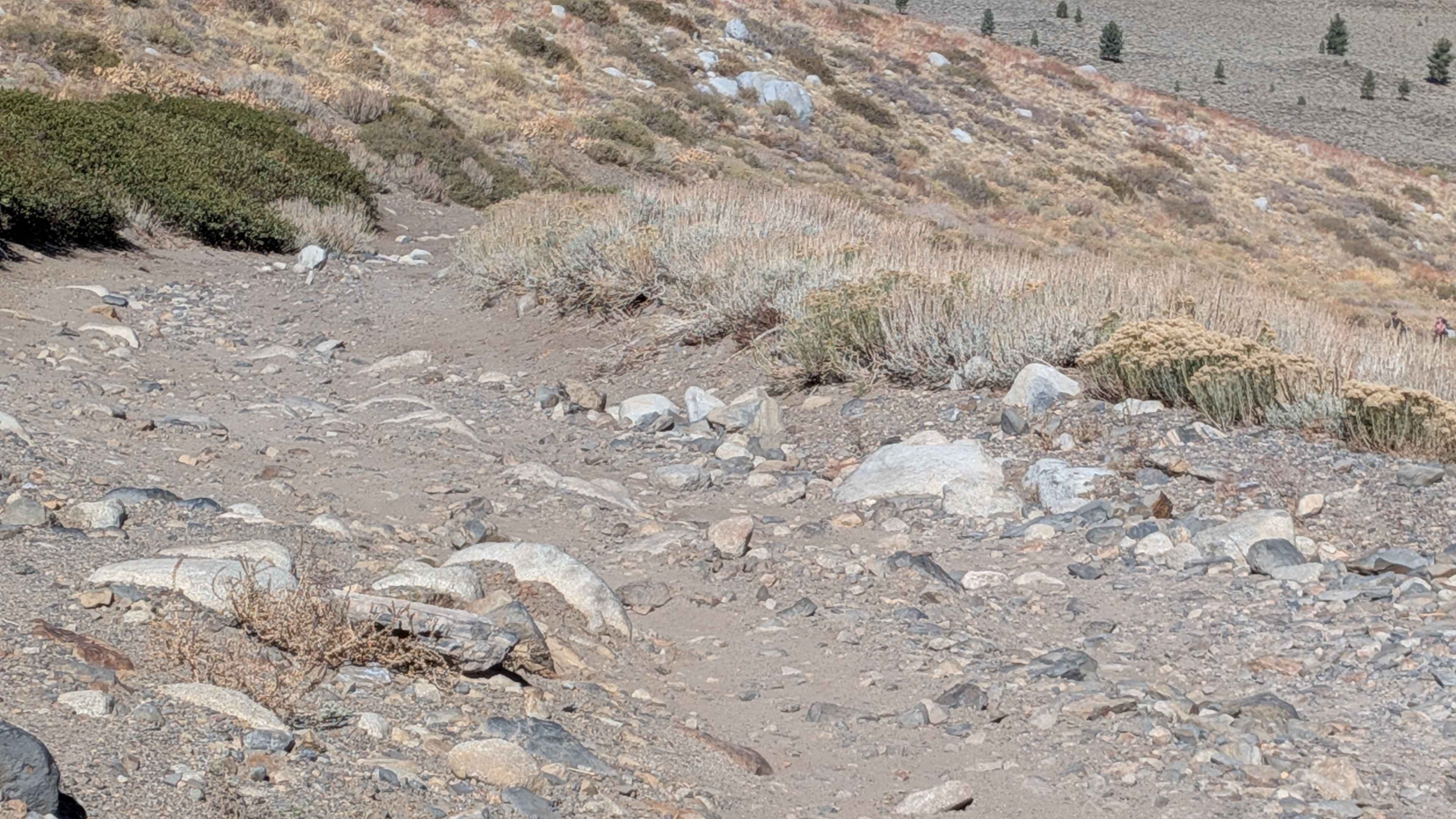 Laurel Lakes - FS 28E201