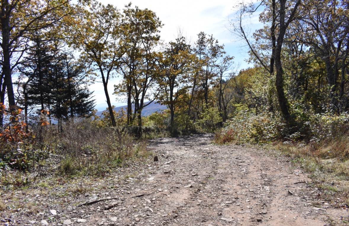 Bother Flagpole Knob Trail