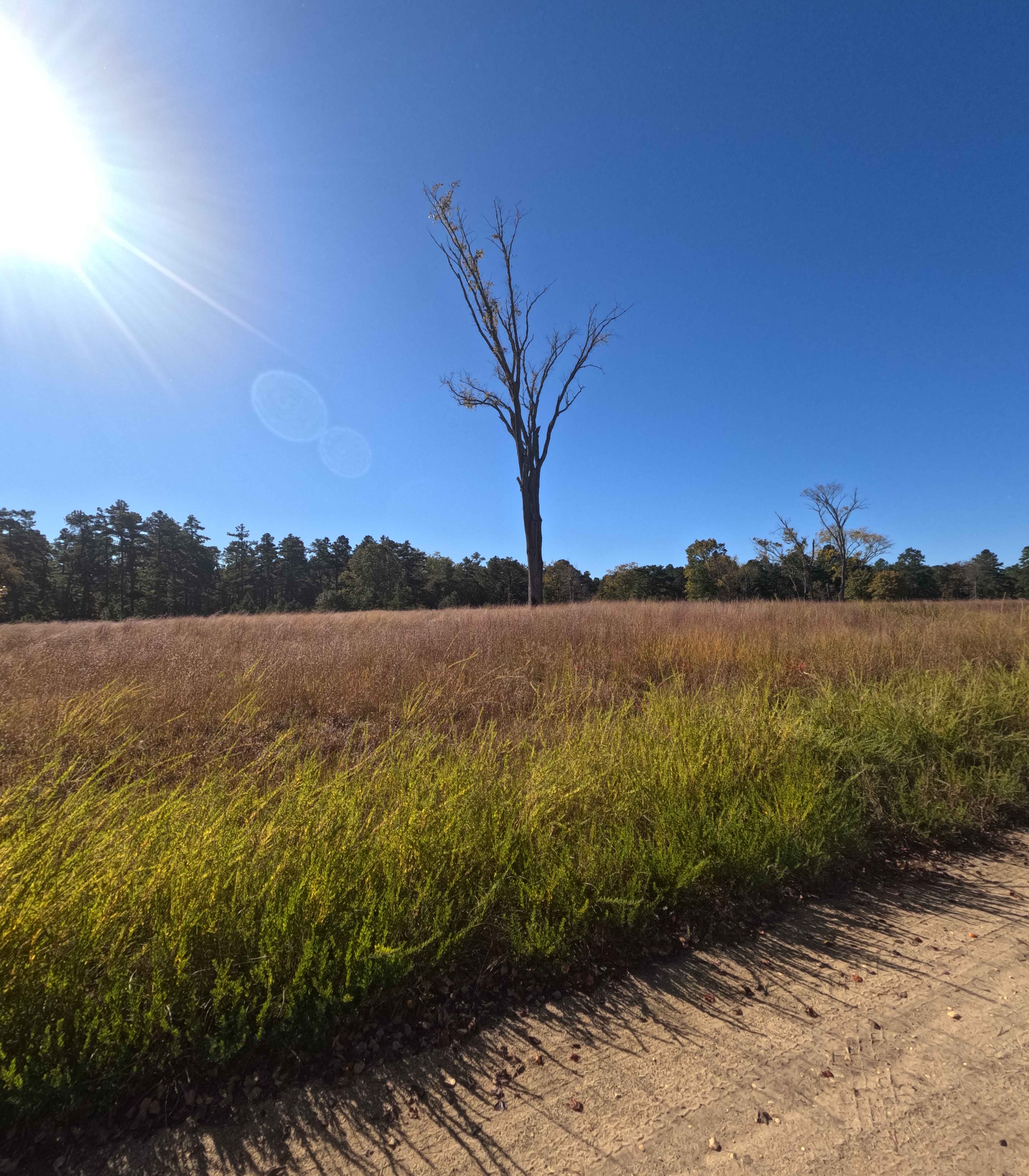 Friendship Speedwell Road