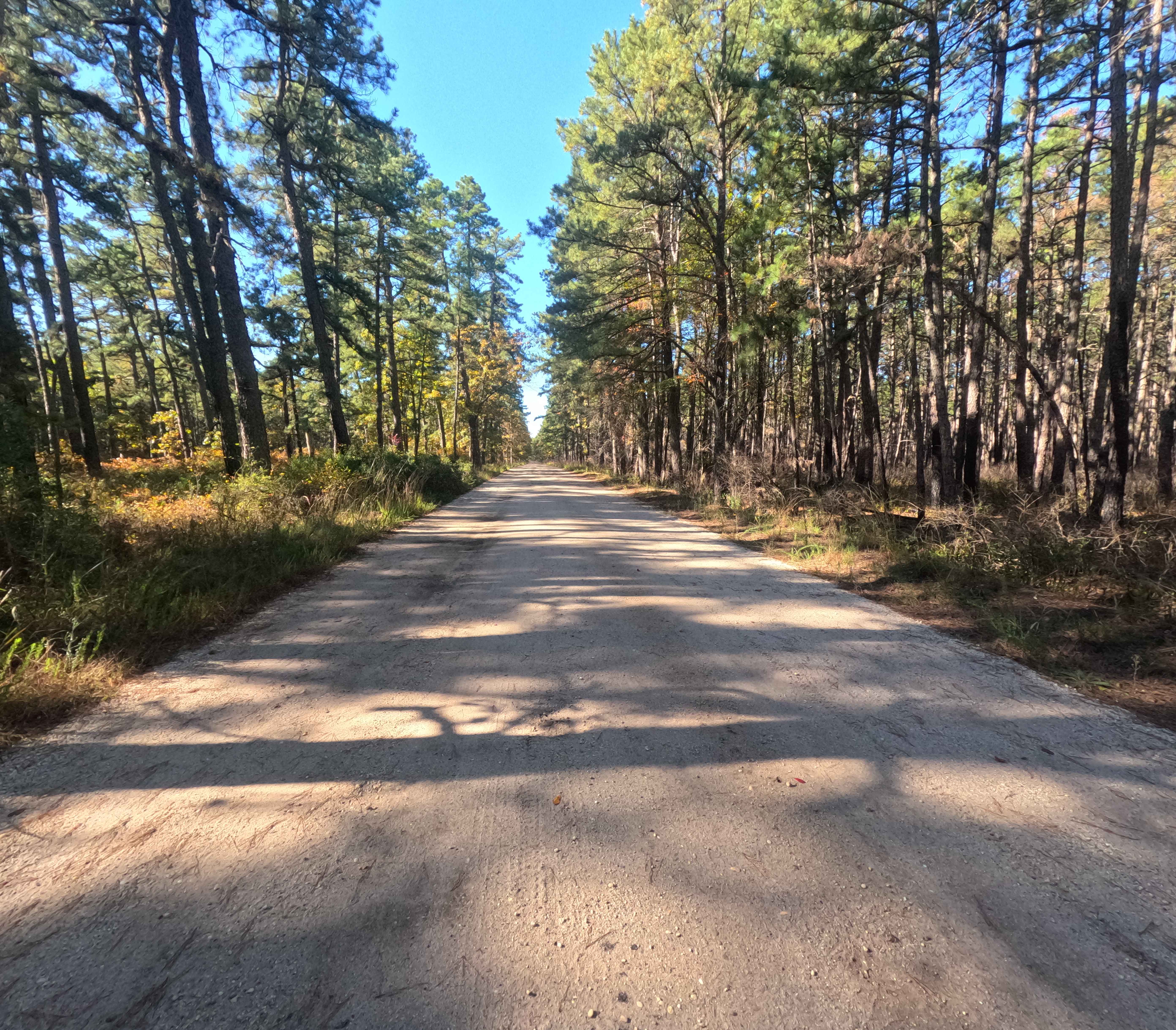 Friendship Speedwell Road