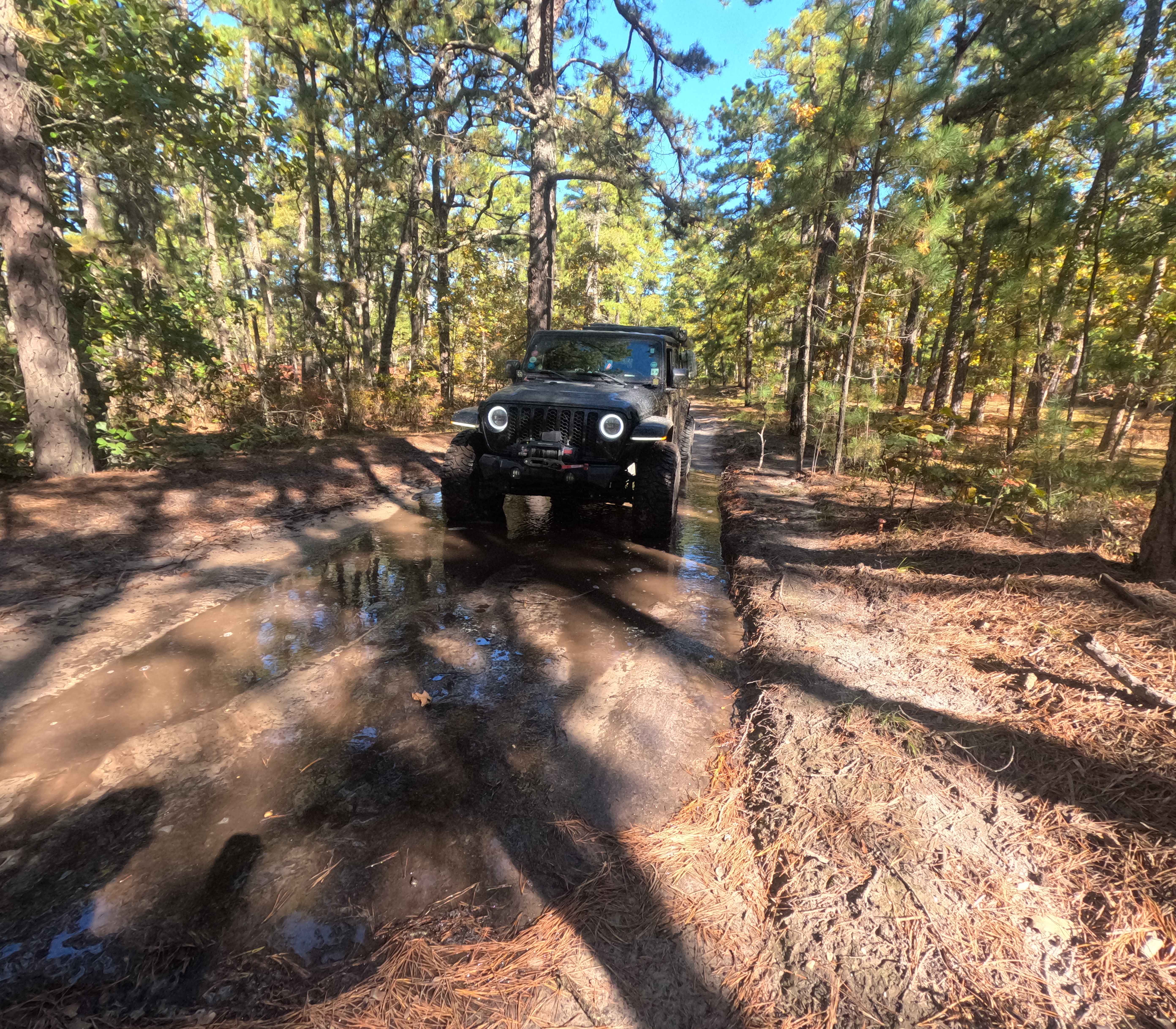 Washington Speedwell Road