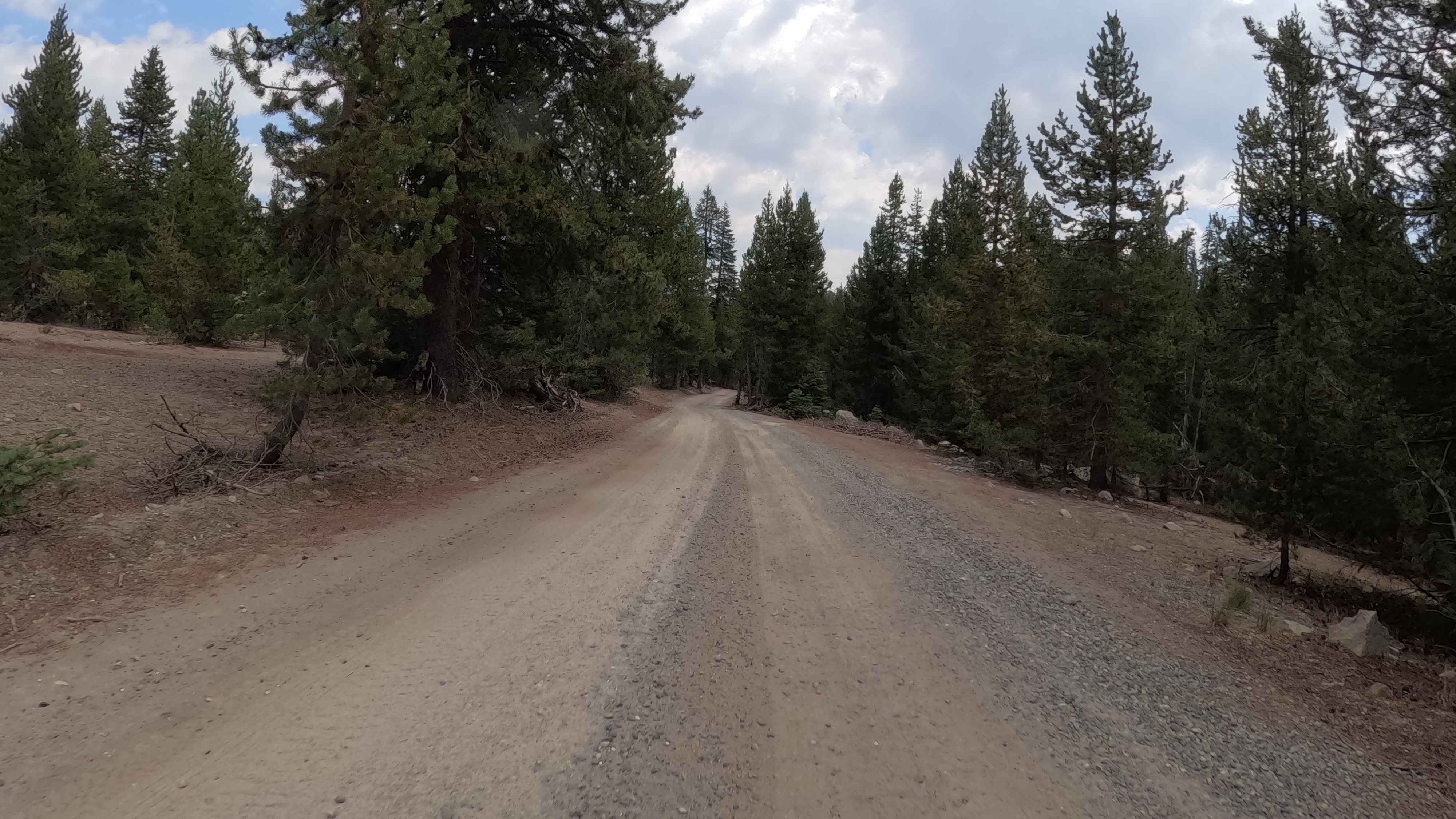 Foster Ridge - FS 9s010