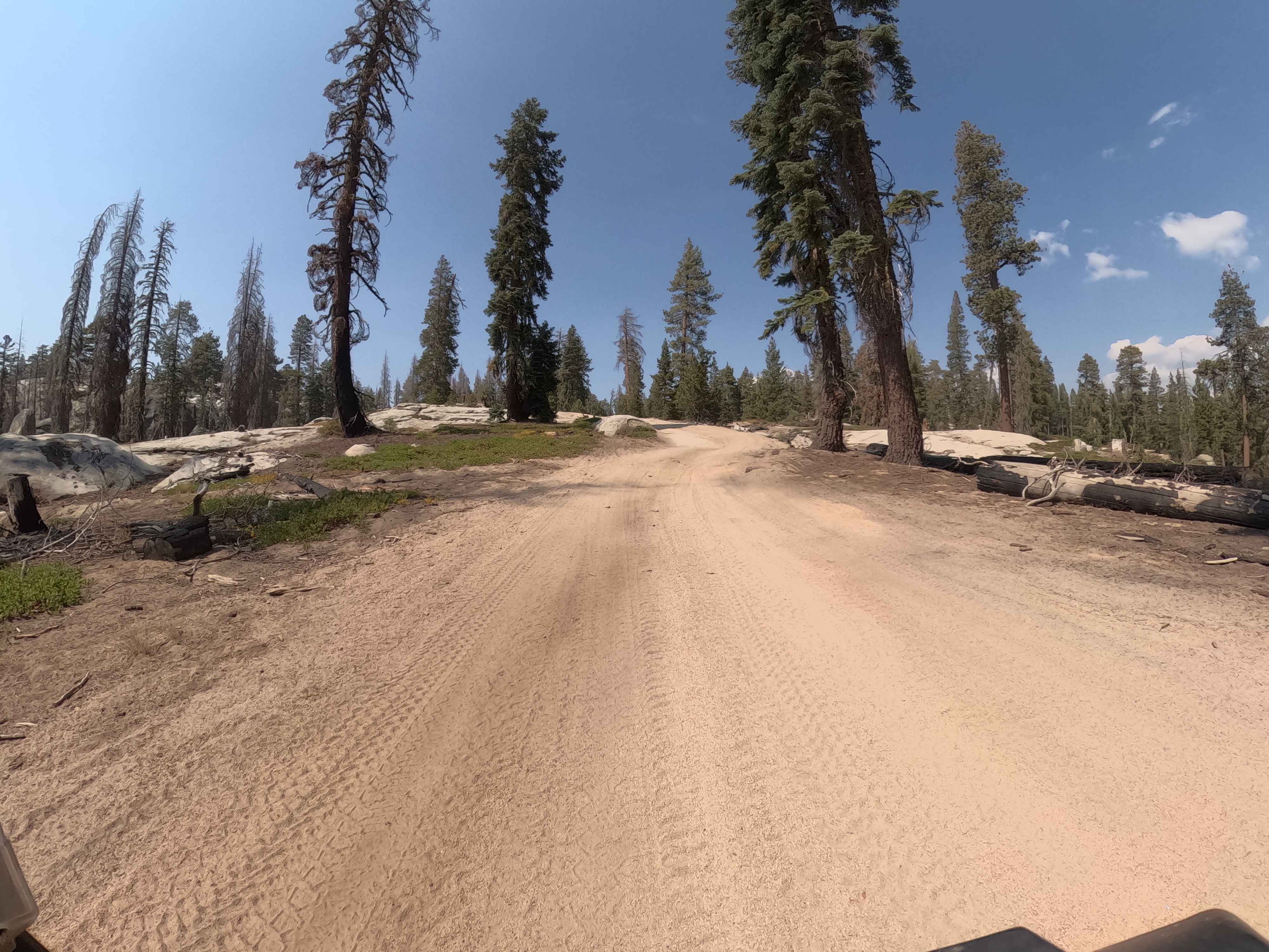 45 Cutoff - FS 25E309