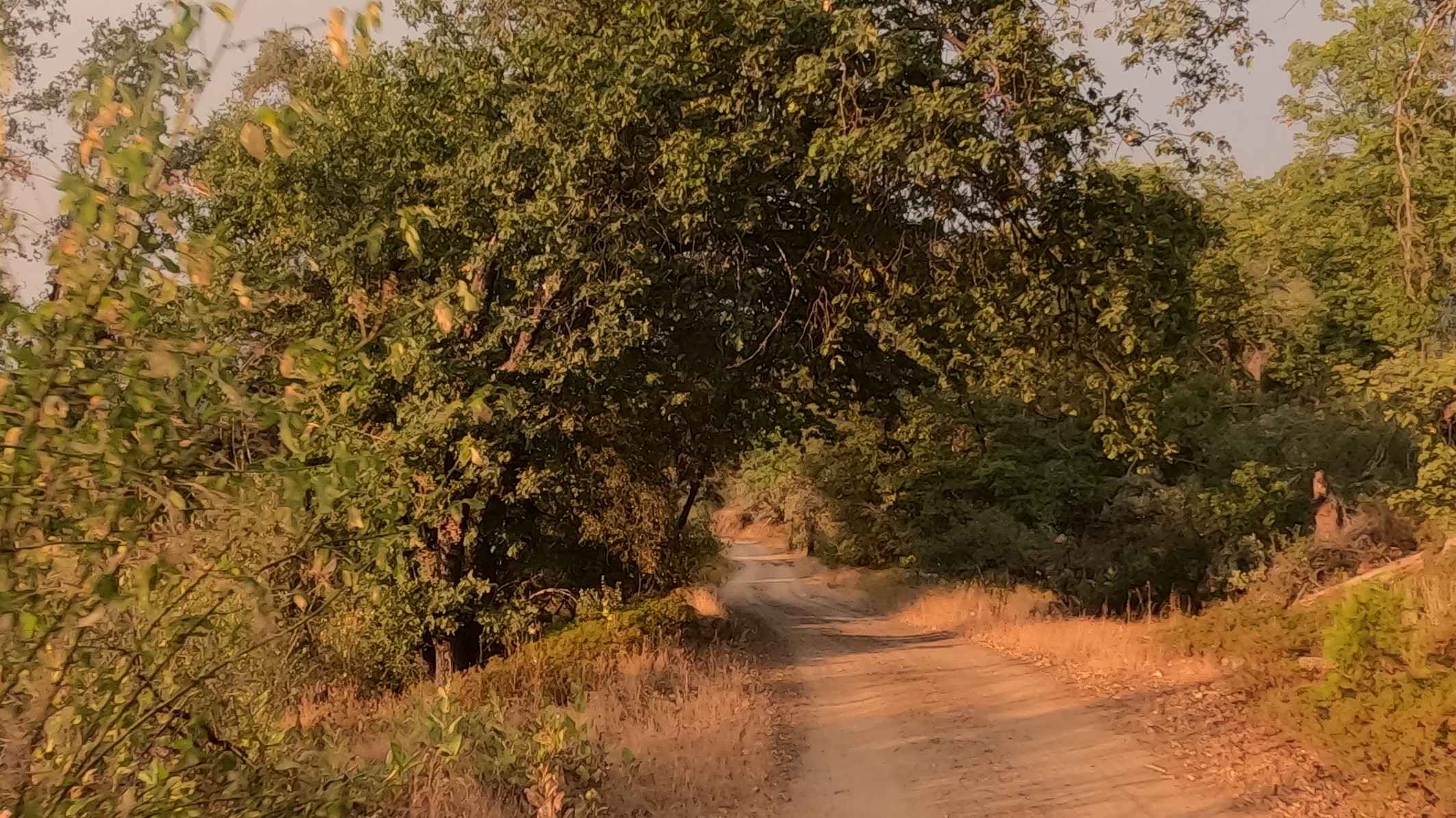 West Malum Ridge - FS 7S075