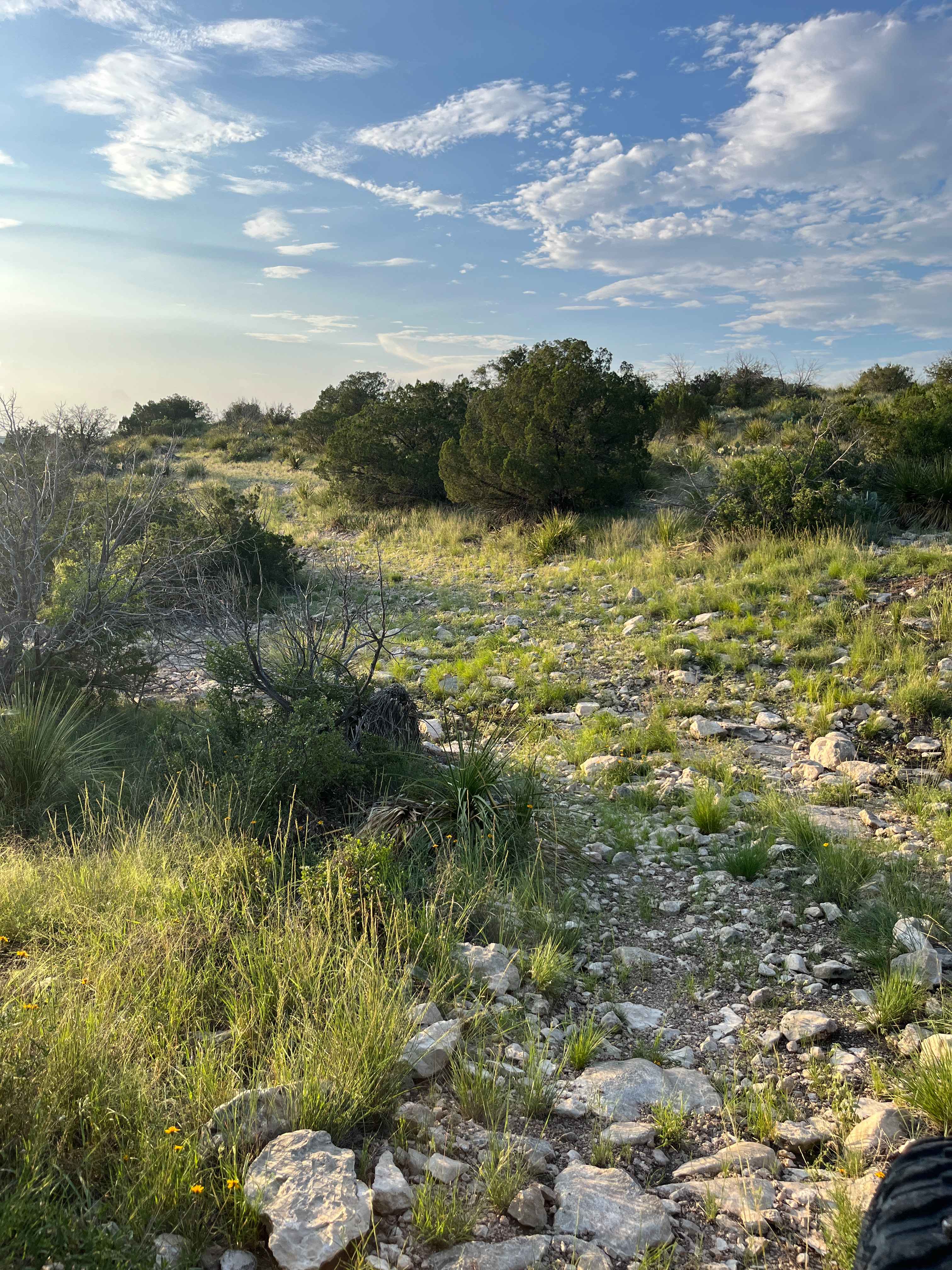 Southeast Rim Trail - V20