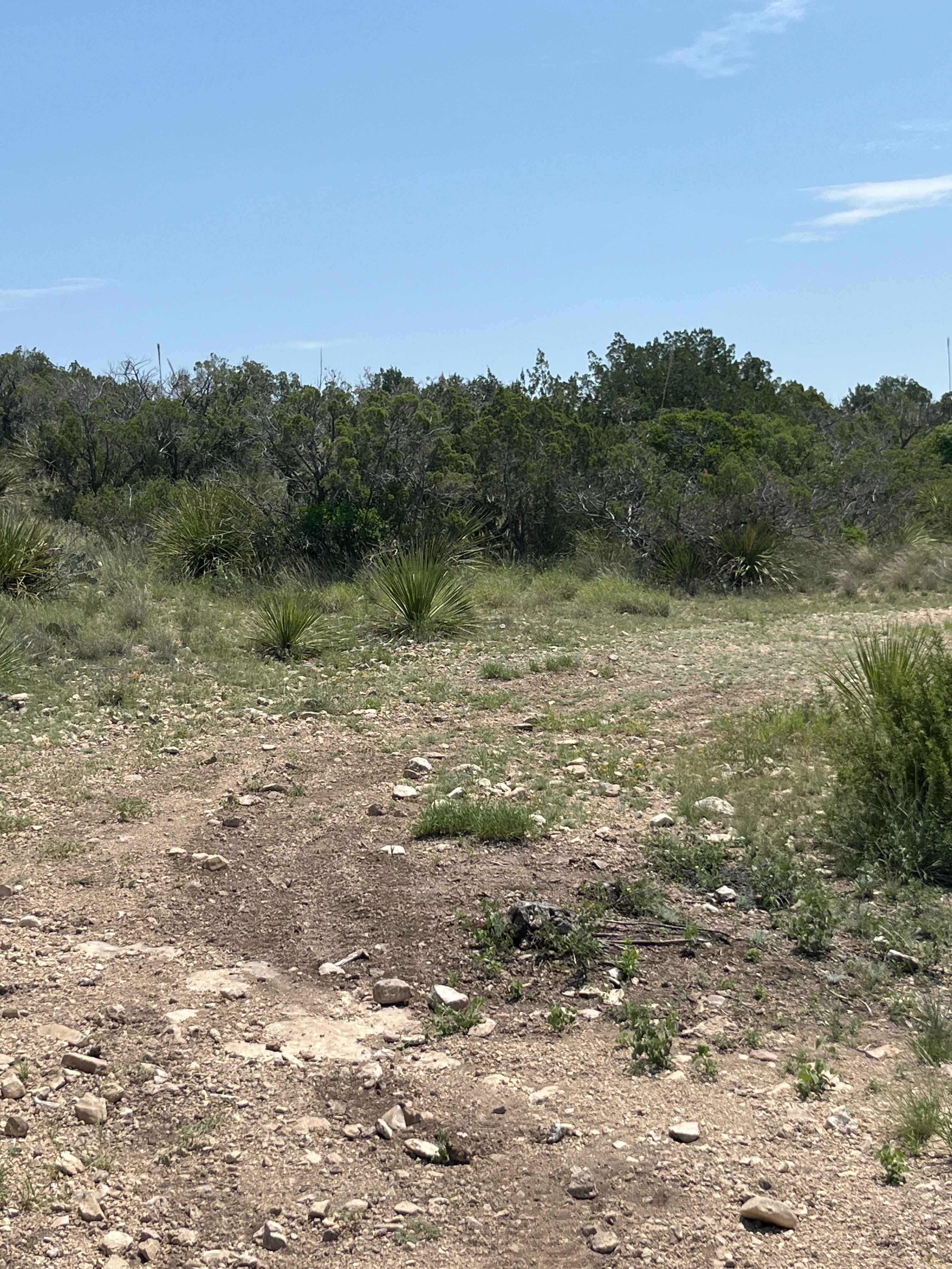 Buckhorn Trail - V26