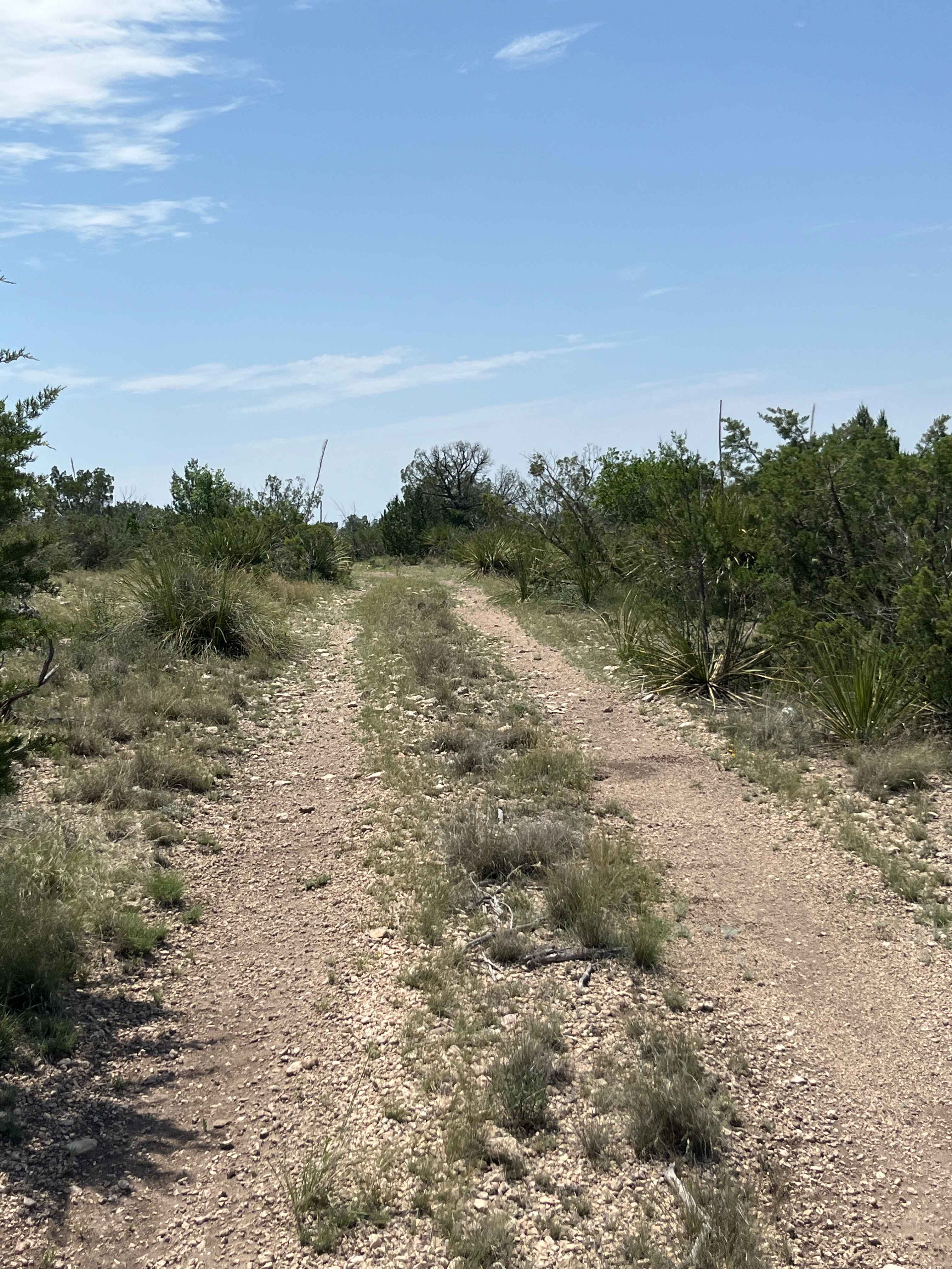 Buckhorn Trail - V26