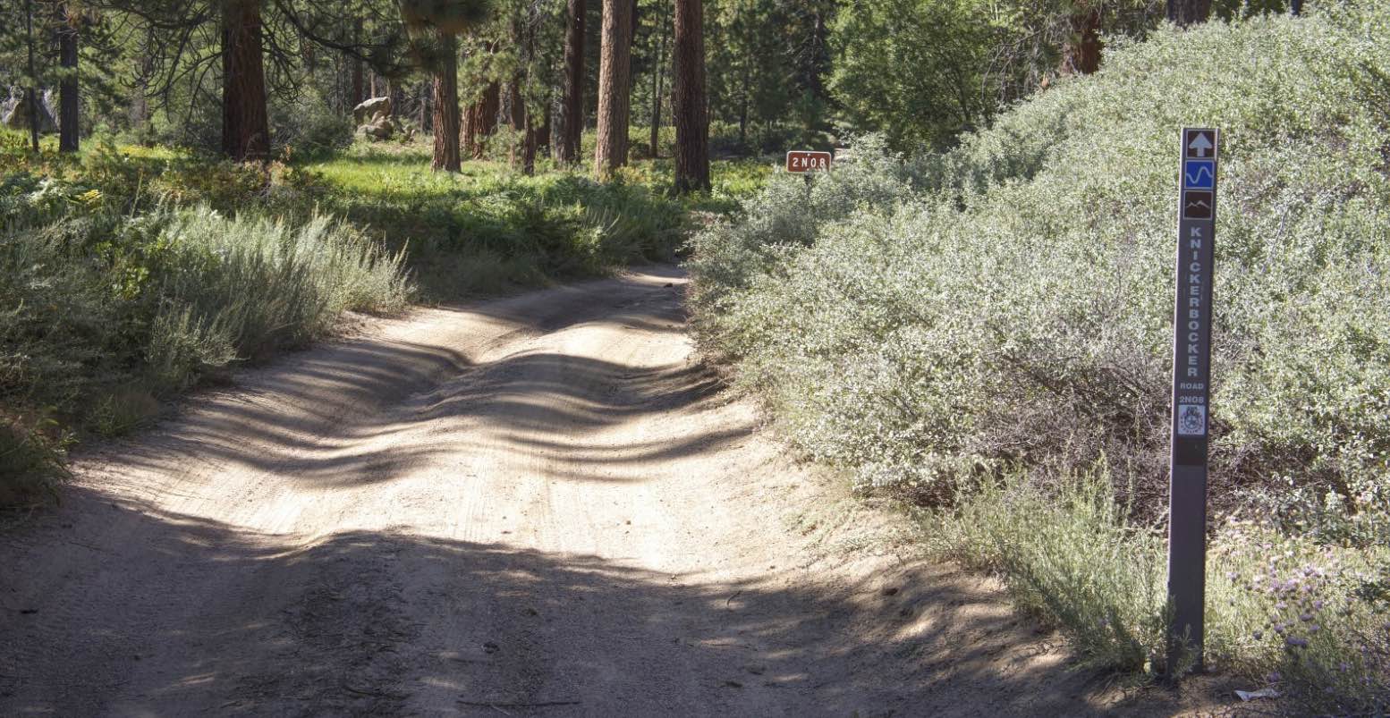 Knickerbocker - FS 2N08