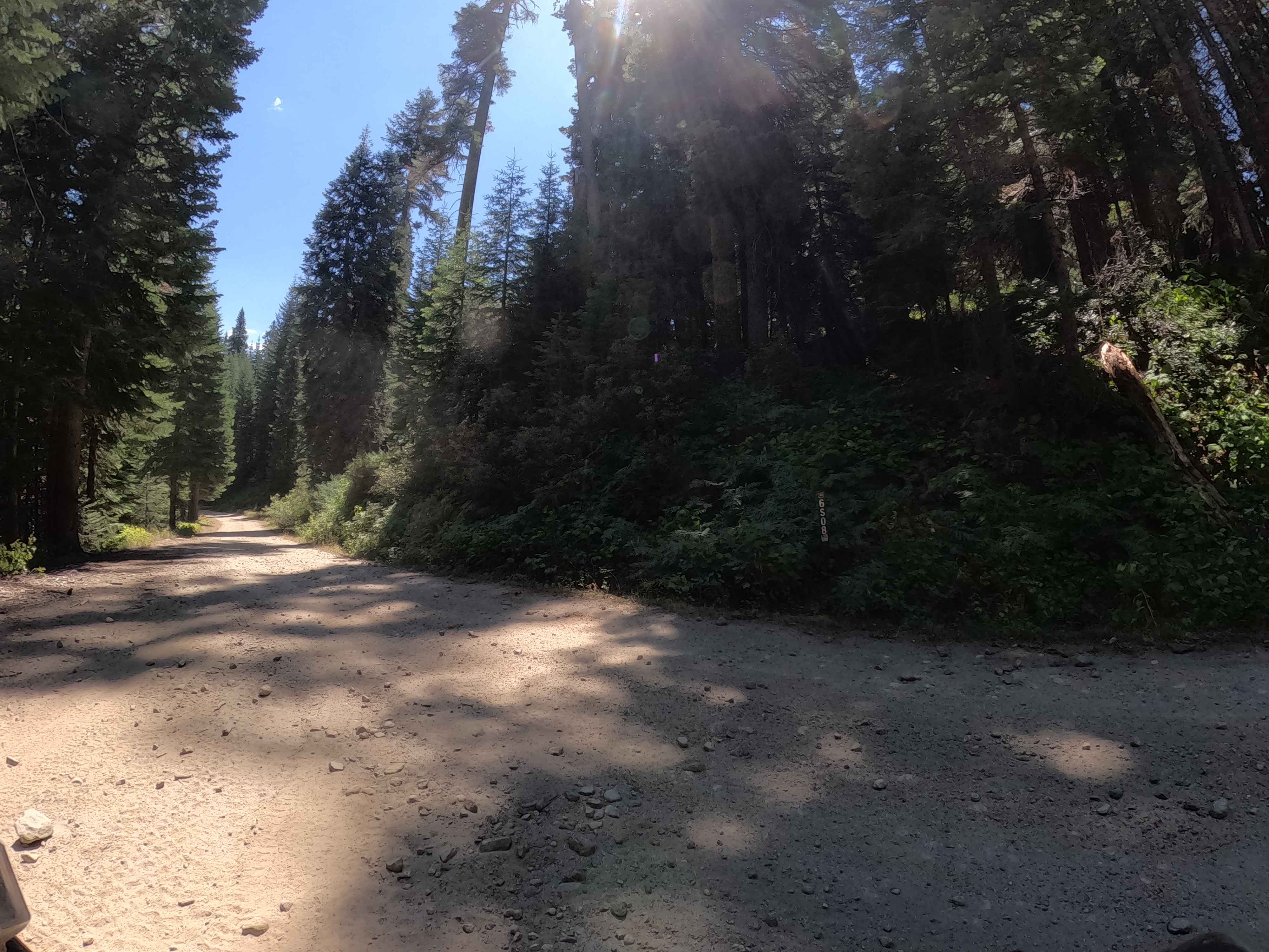 Greys Mountain - FS 6S008