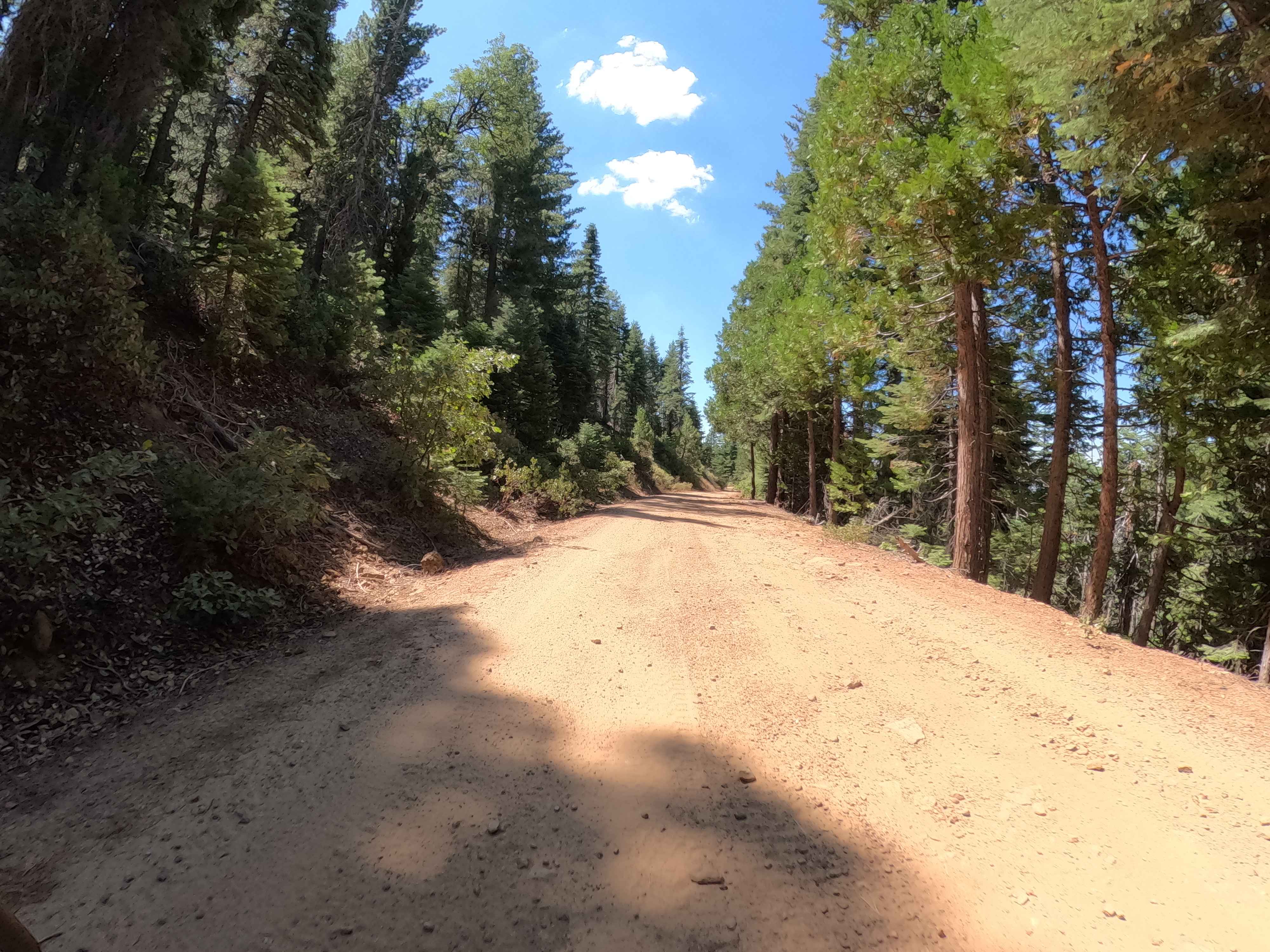 Greys Mountain - FS 6S008