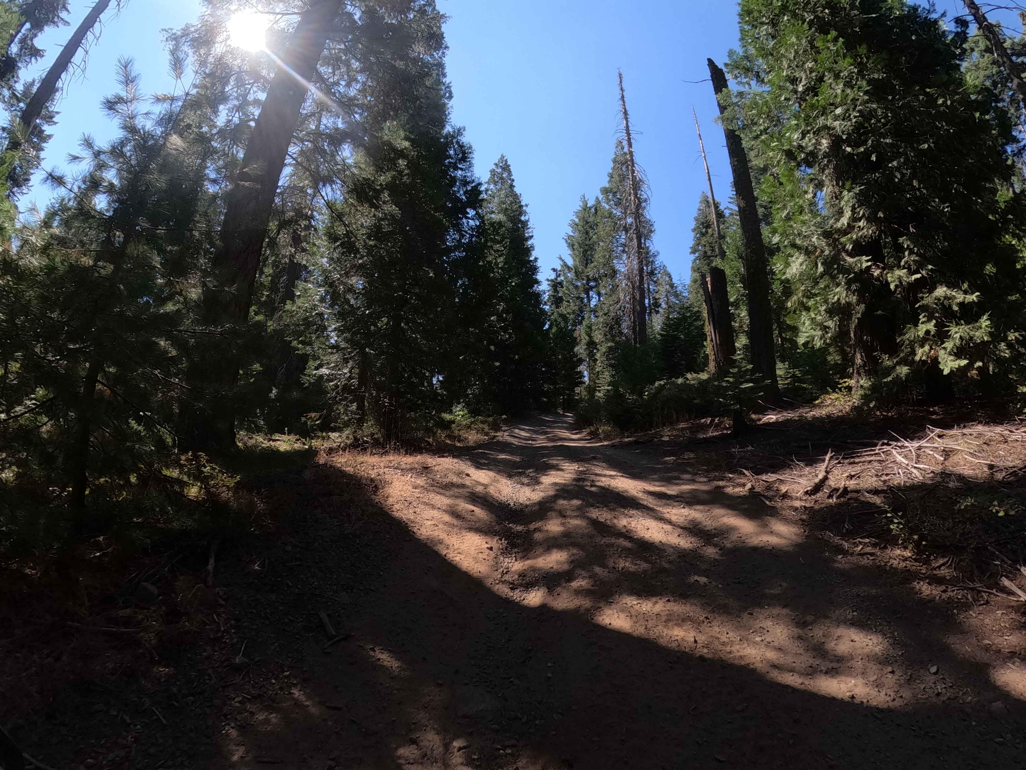 Sivils Mountain - FS 6S011C