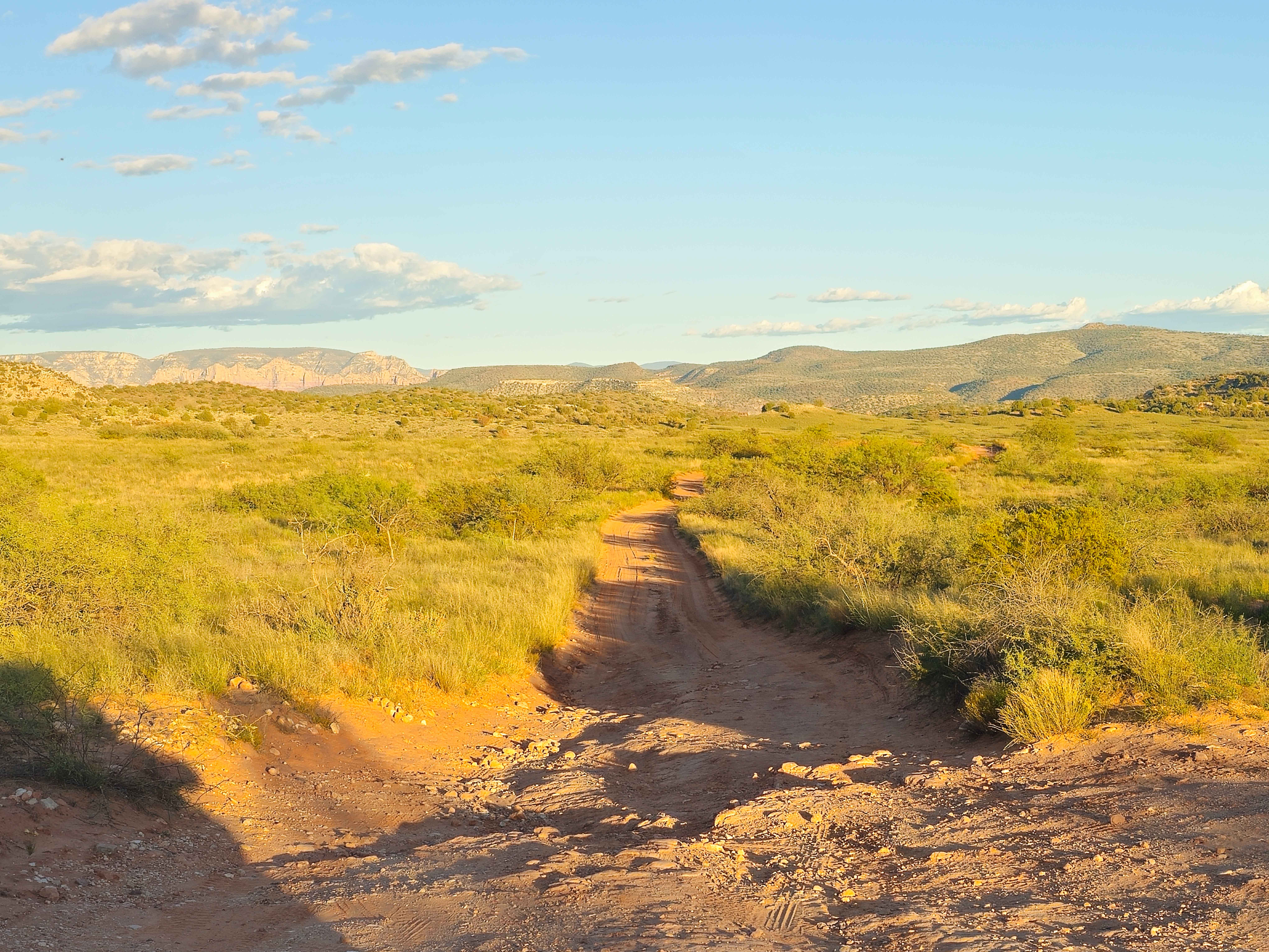 Sheepshead Trail - FS 9541