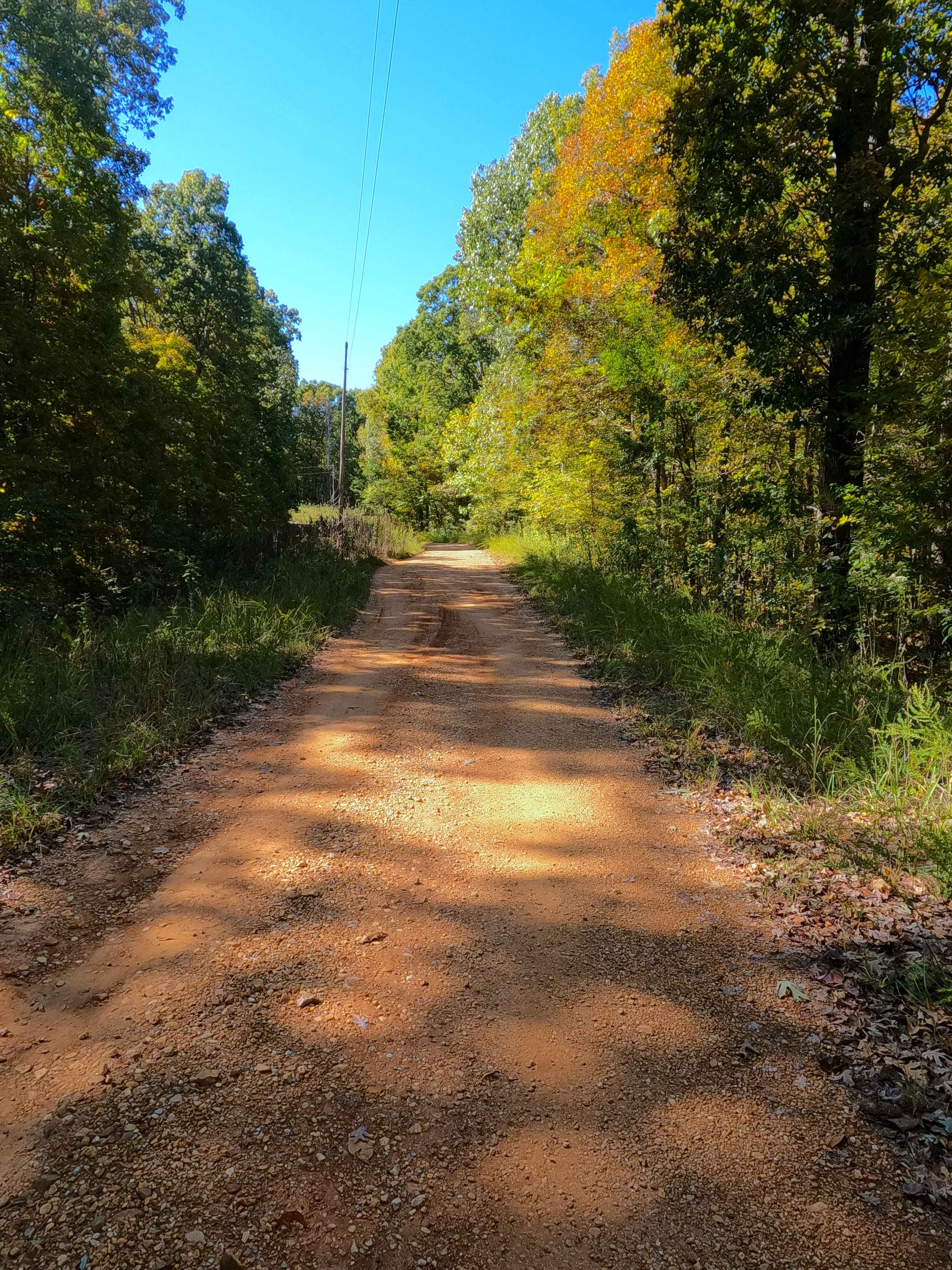 Shaw Branch - FS 154