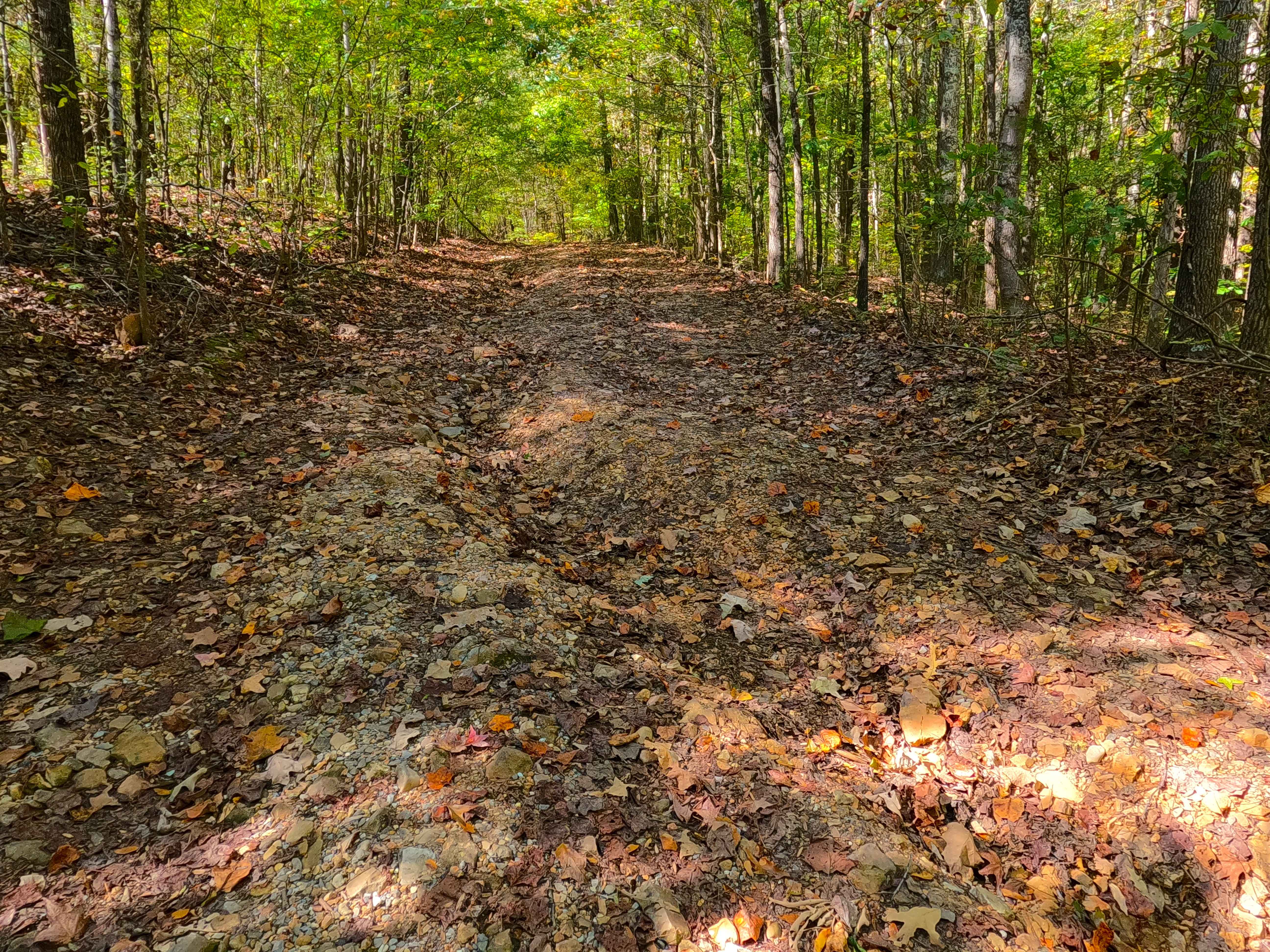 Cunningham Monument - FS 154A