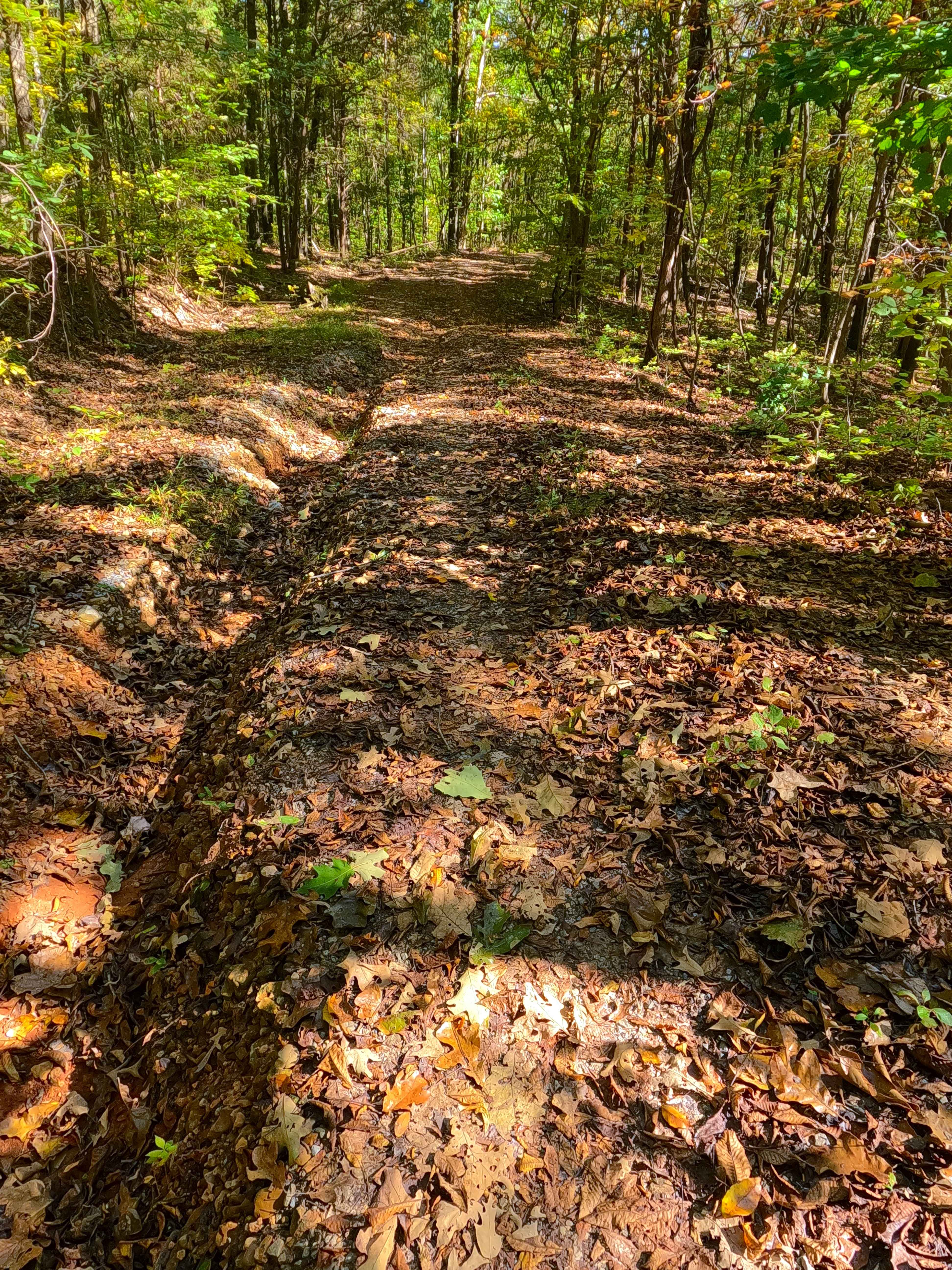 Cunningham Monument - FS 154A
