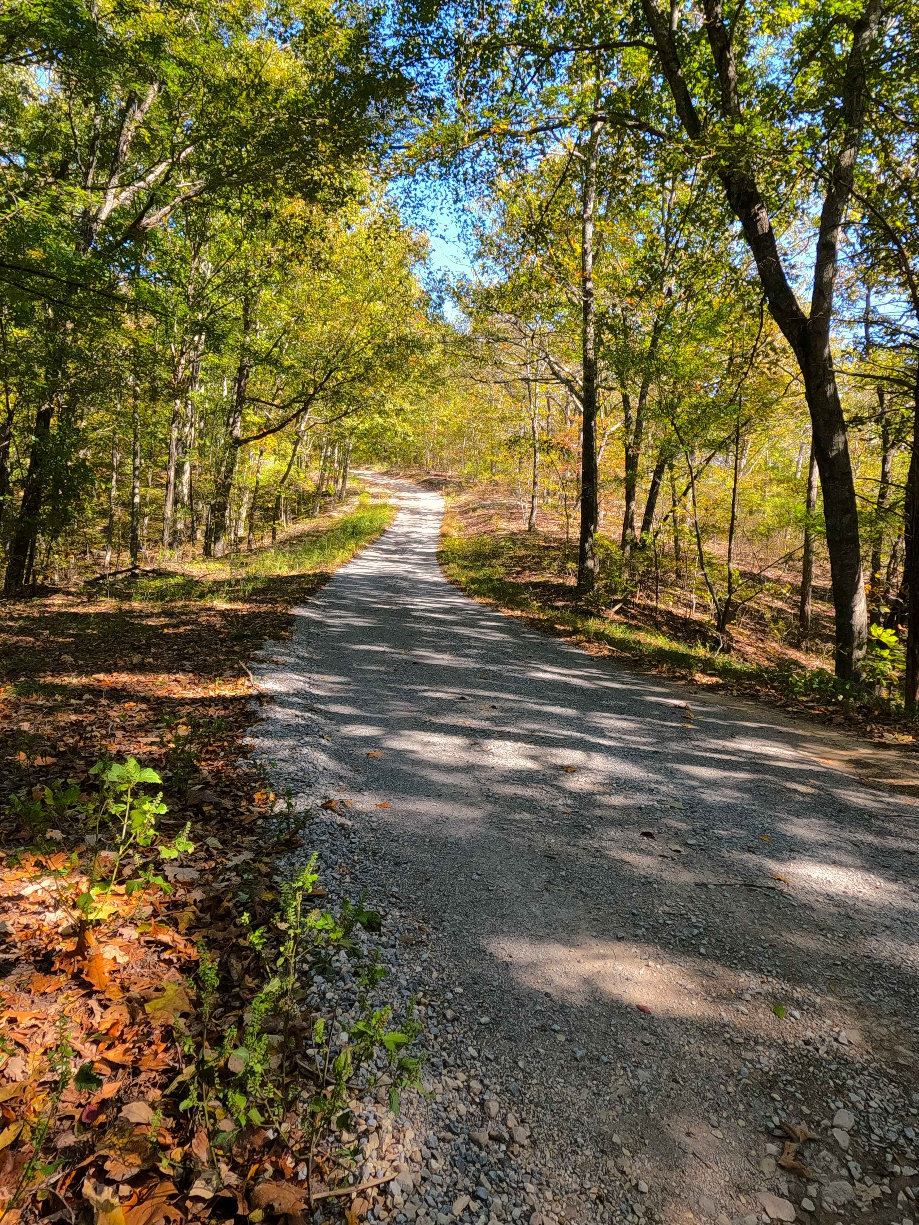 Bogard Road - FS 157