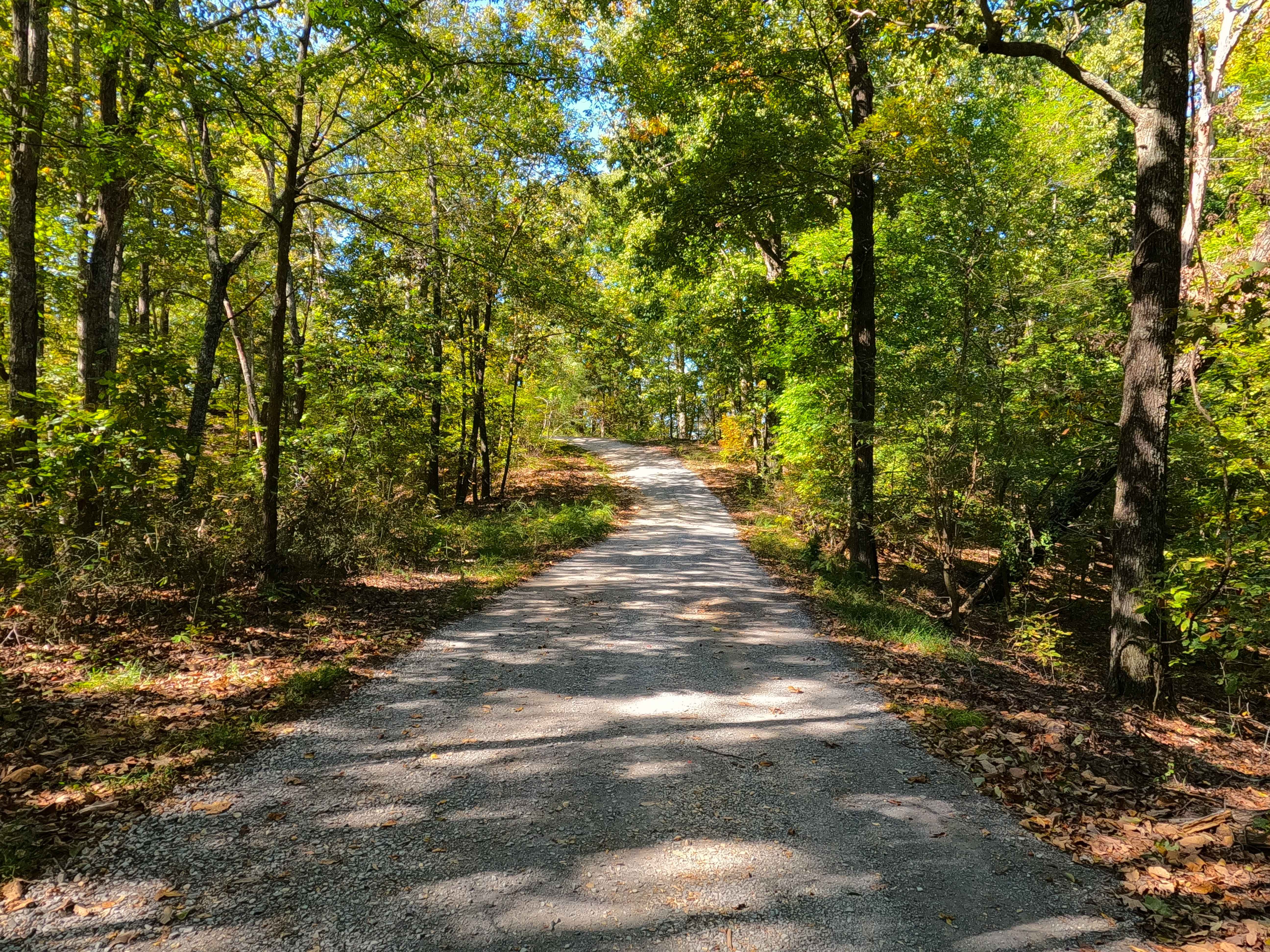 Bogard Road - FS 157