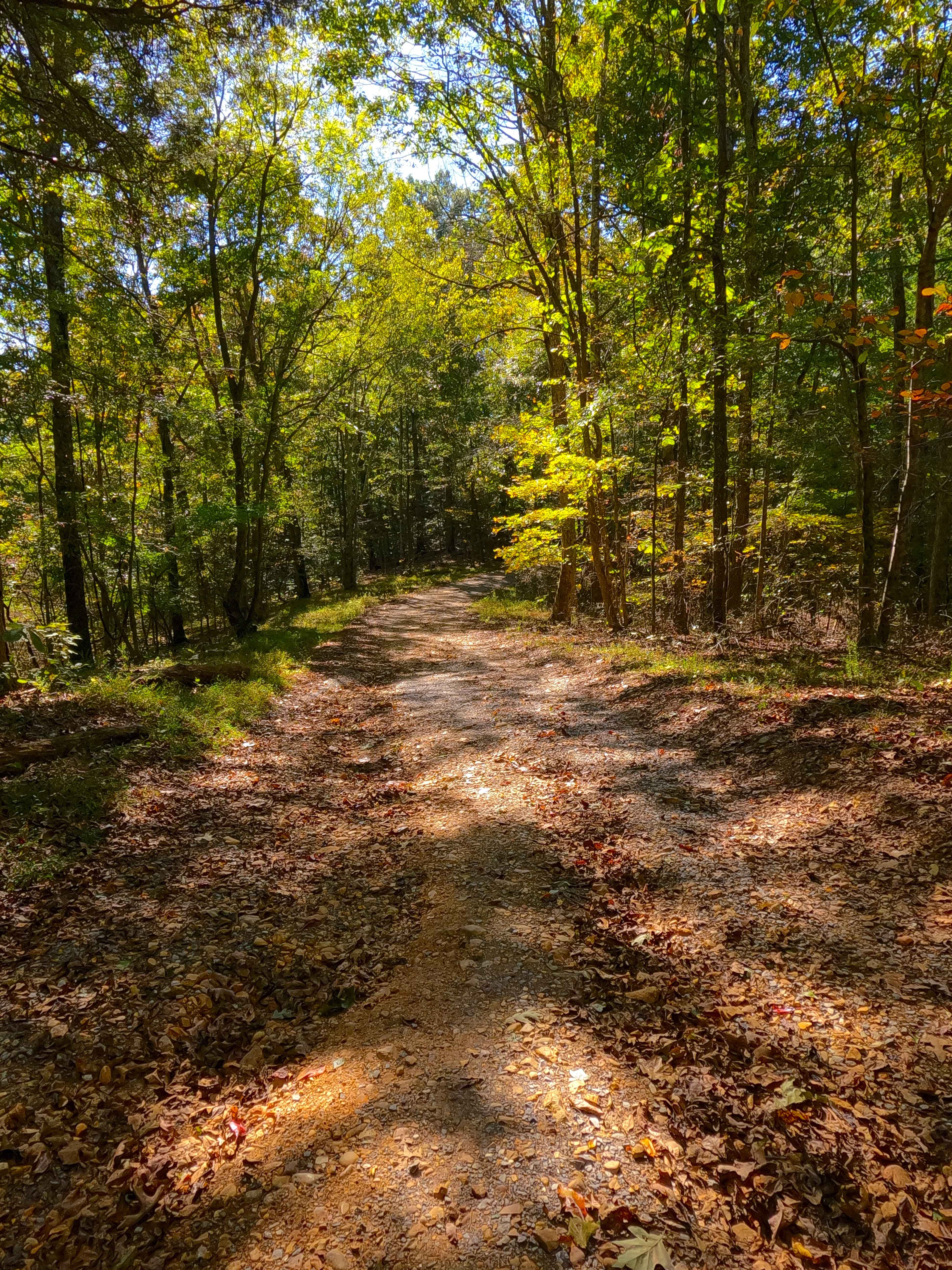 Wallace Road - FS 156